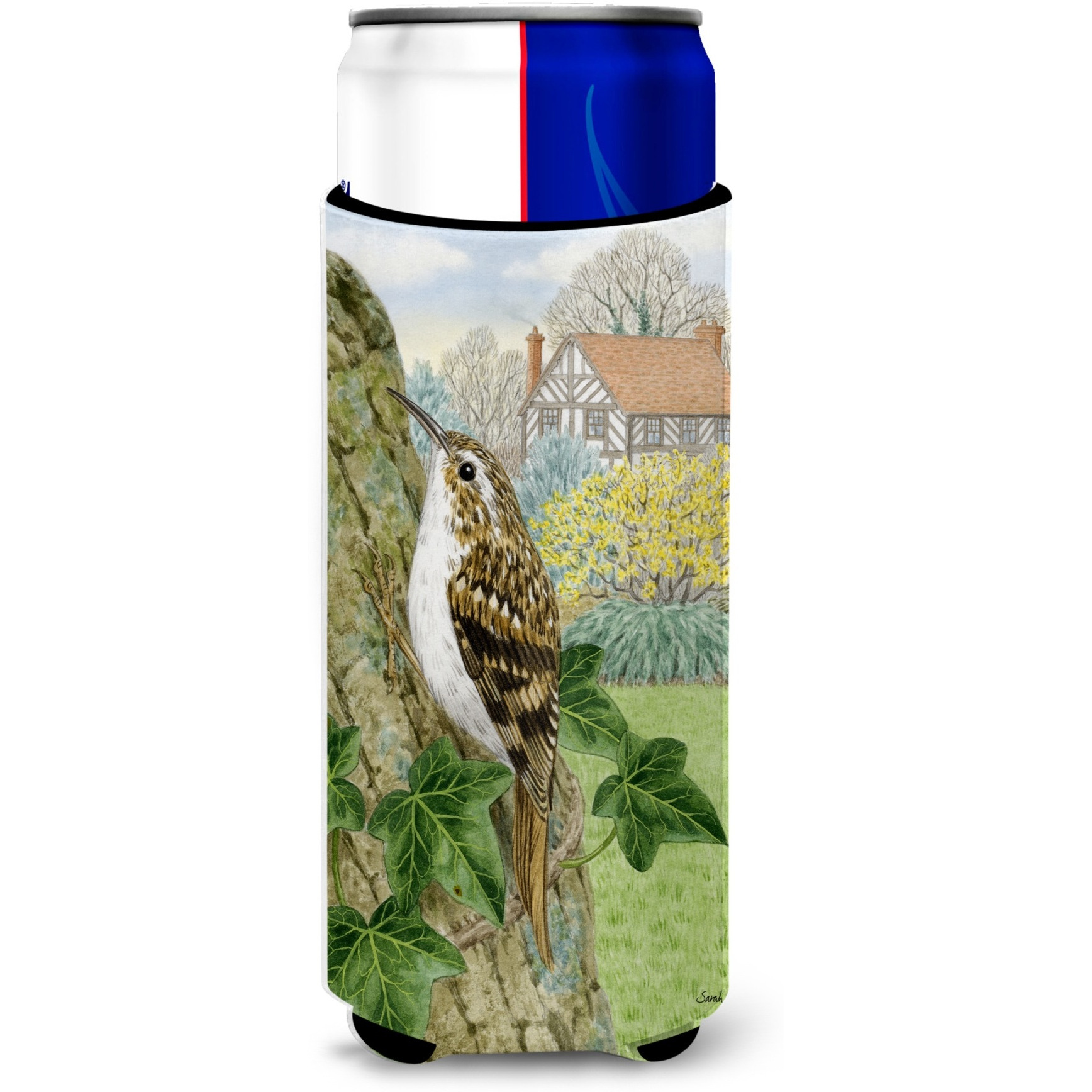 &quotCaroline's Treasures ASA2099MUK Treecreeper Michelob Ultra Koozies for Slim Cans, Multicolor"