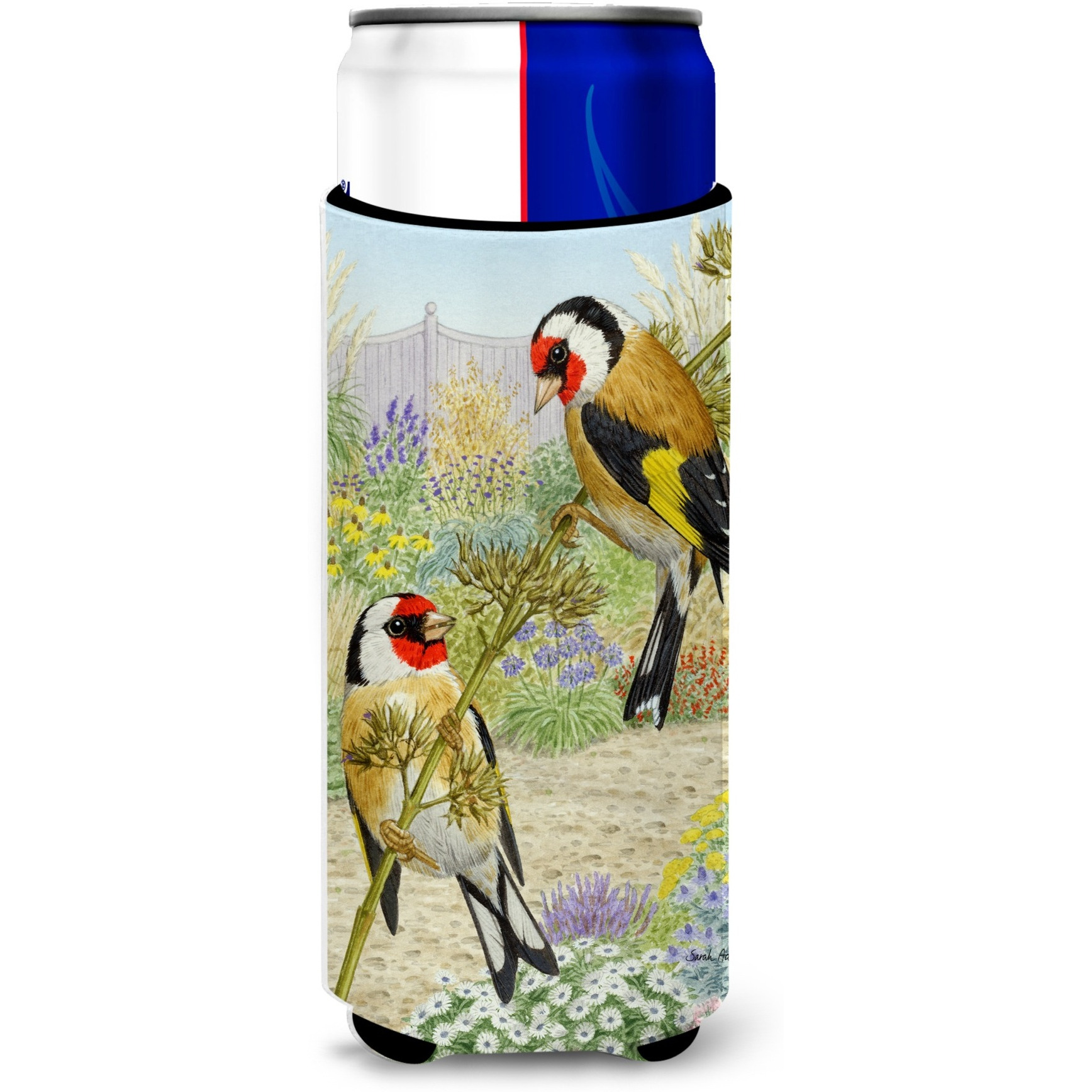 &quotCaroline's Treasures ASA2103MUK European Goldfinches Michelob Ultra Koozies for Slim Cans, Multicolor"