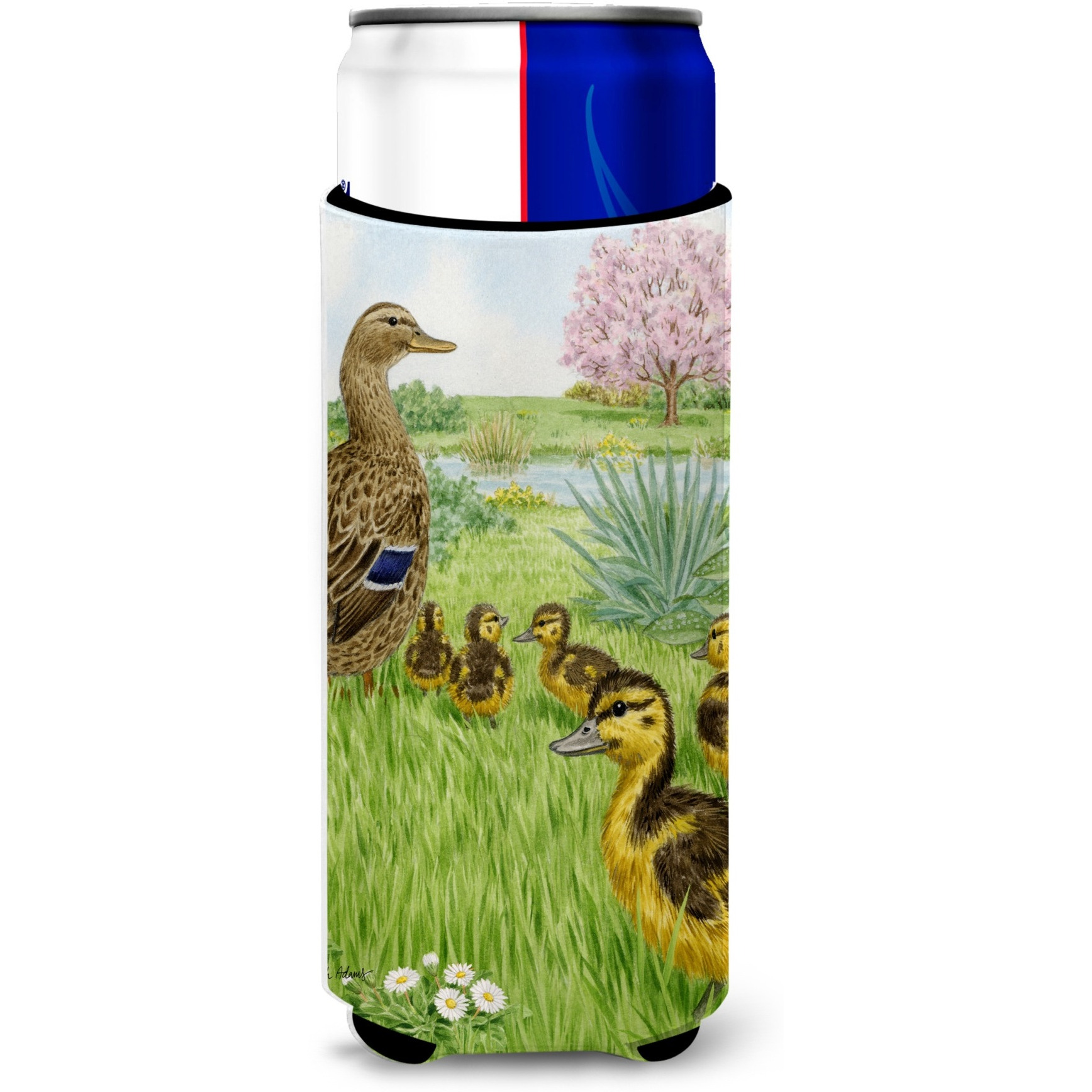 &quotCaroline's Treasures ASA2105MUK Female Mallard Duck and Ducklings Michelob Ultra Koozies for Slim Cans, Multicolor"