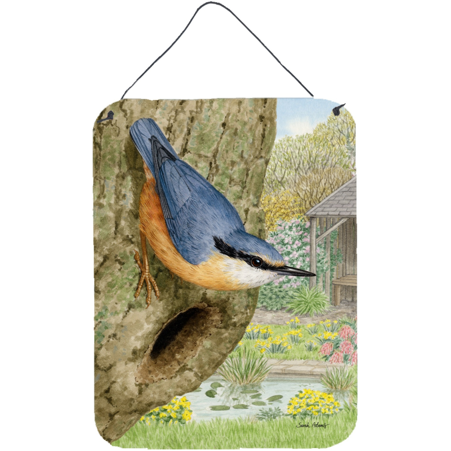 &quotCaroline's Treasures Red-breasted Nuthatch Wall or Door Hanging Prints ASA2108DS1216, 16HX12W, Multicolor"