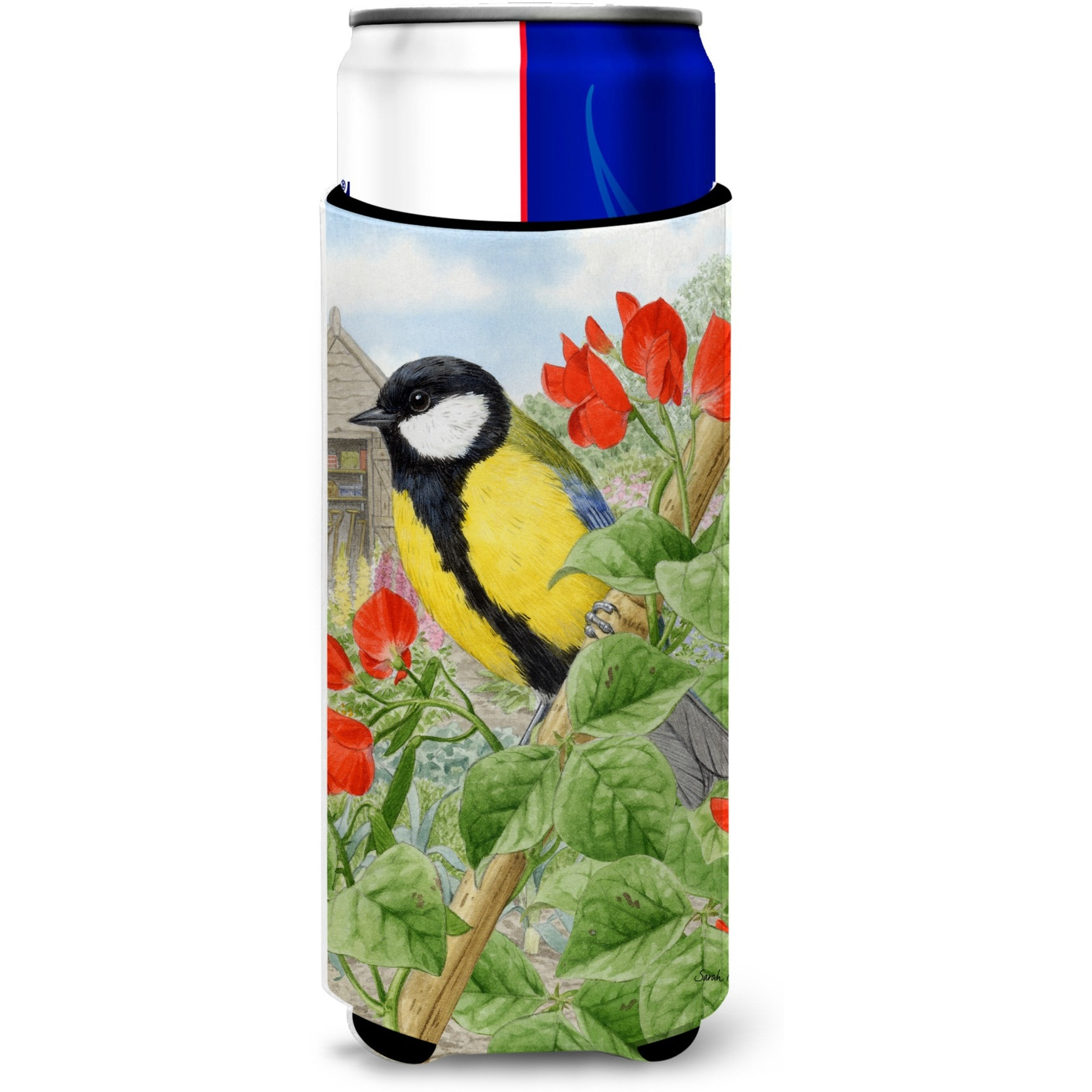 &quotCaroline's Treasures ASA2110MUK Great Tit Michelob Ultra Koozies for Slim Cans, Multicolor"