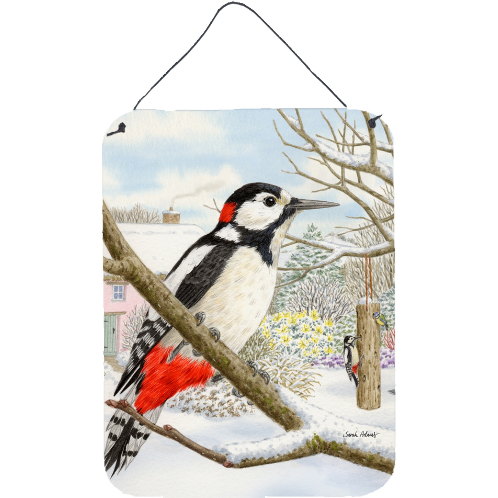 &quotCaroline's Treasures Spotted Woodpecker Wall or Door Hanging Prints ASA2113DS1216, 16HX12W, Multicolor"