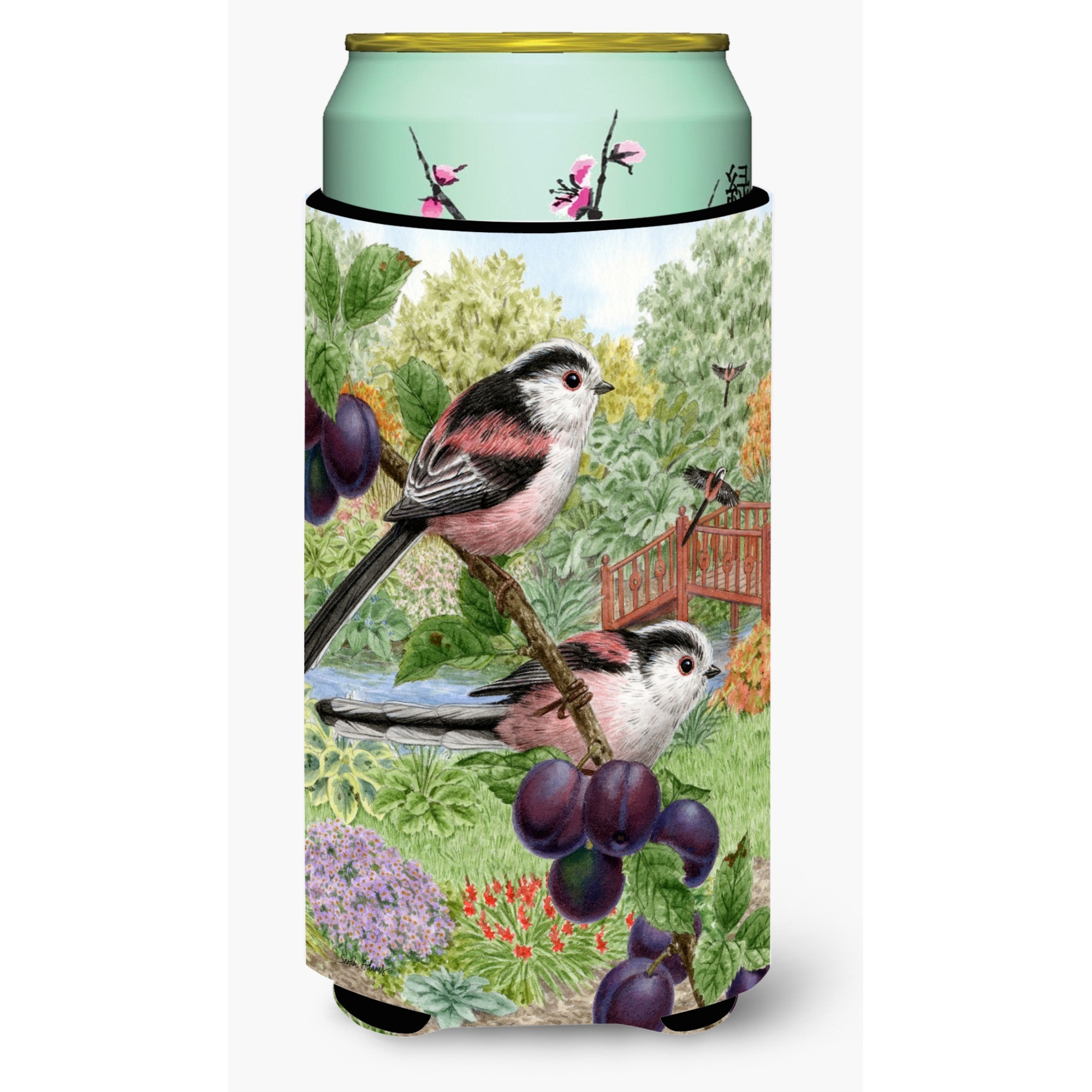 &quotCaroline's Treasures ASA2115TBC Long Tailed Tits Tall Boy Koozie Hugger, Multicolor"