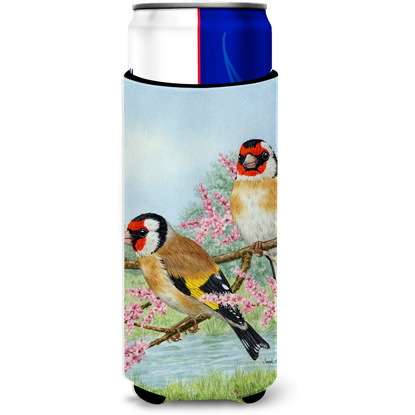 &quotCaroline's Treasures ASA2119MUK European Goldfinches Michelob Ultra Koozies for Slim Cans, Multicolor"