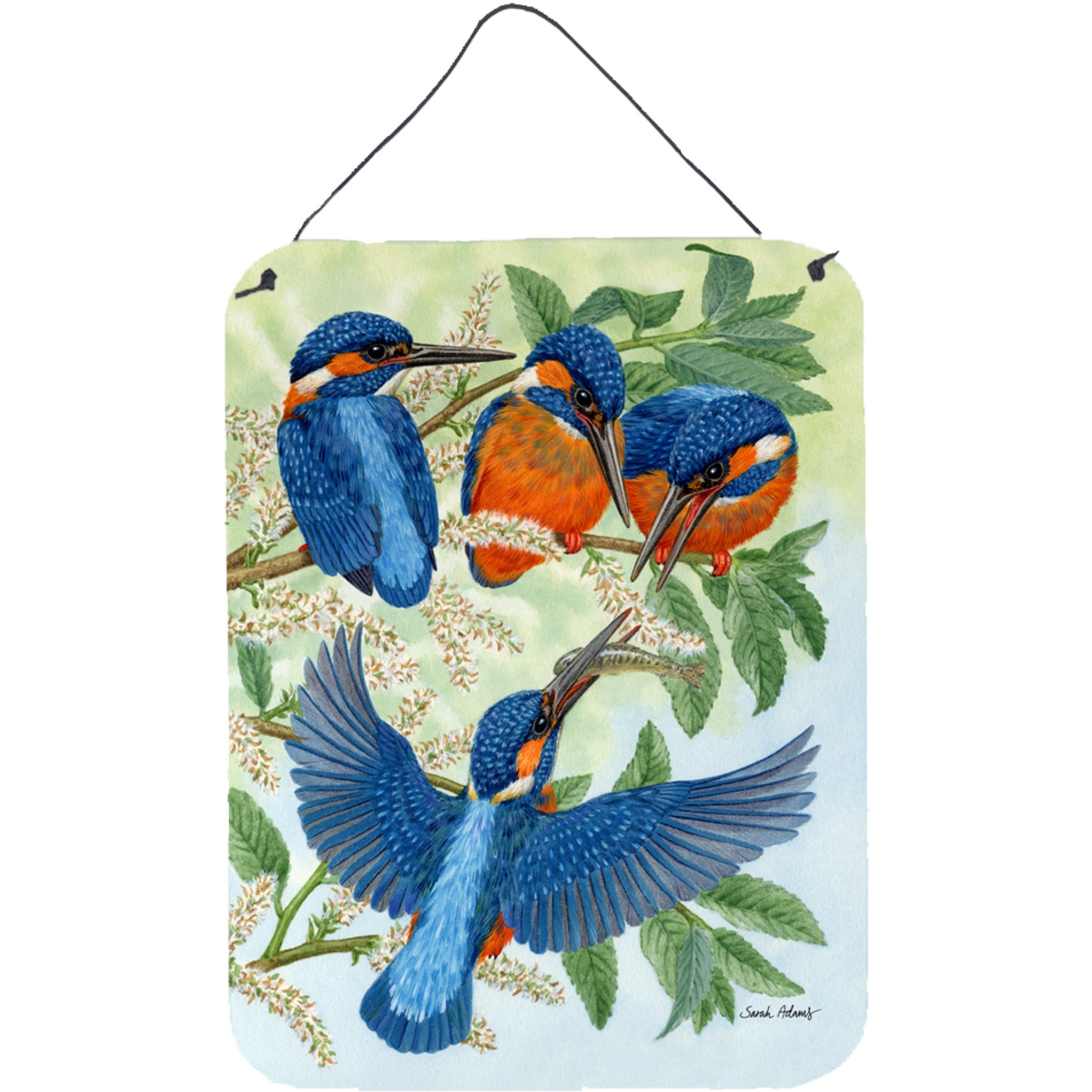&quotCaroline's Treasures Kingfisher Family Wall or Door Hanging Prints ASA2120DS1216, 16HX12W, Multicolor"