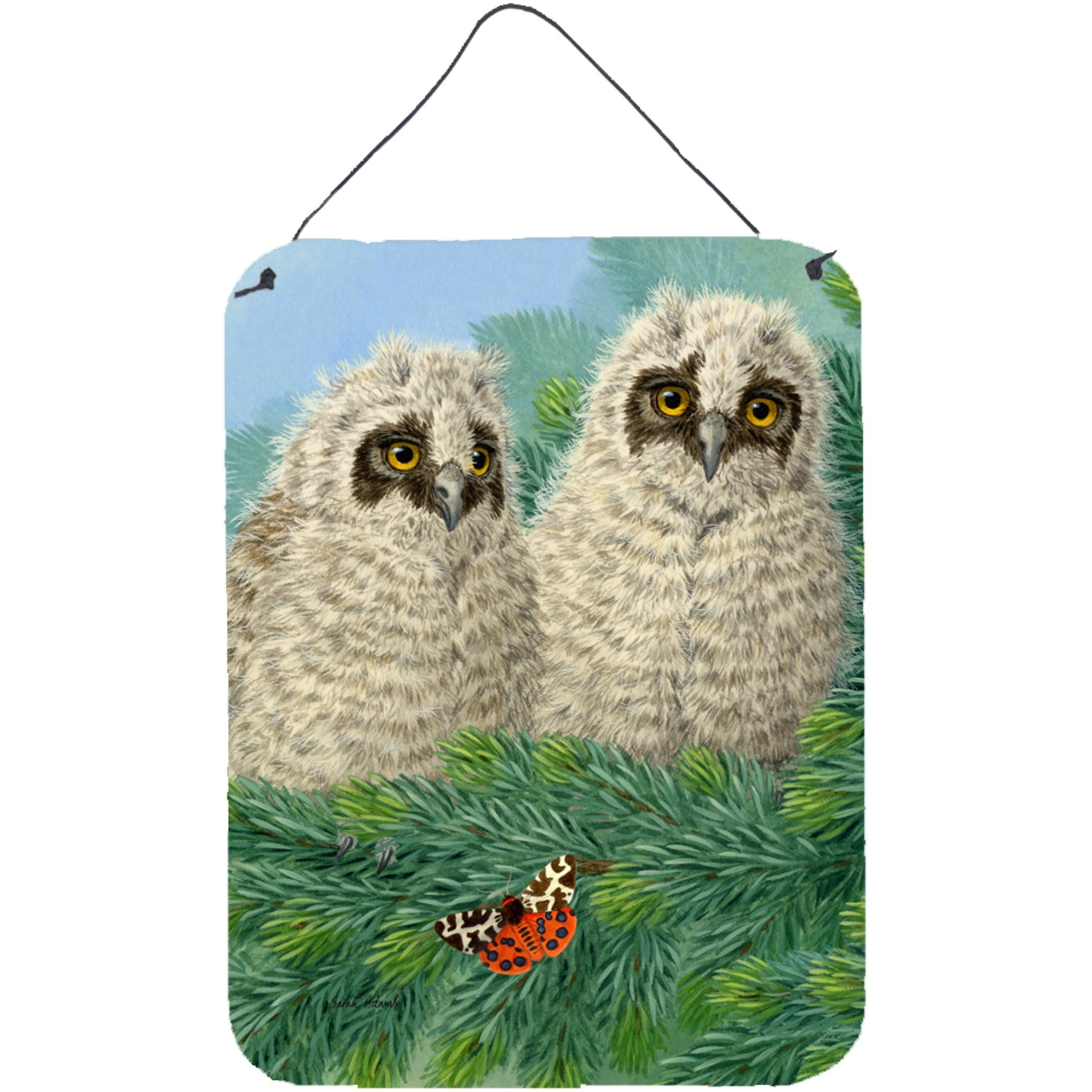 &quotCaroline's Treasures Owlets Wall or Door Hanging Prints ASA2126DS1216, 16HX12W, Multicolor"