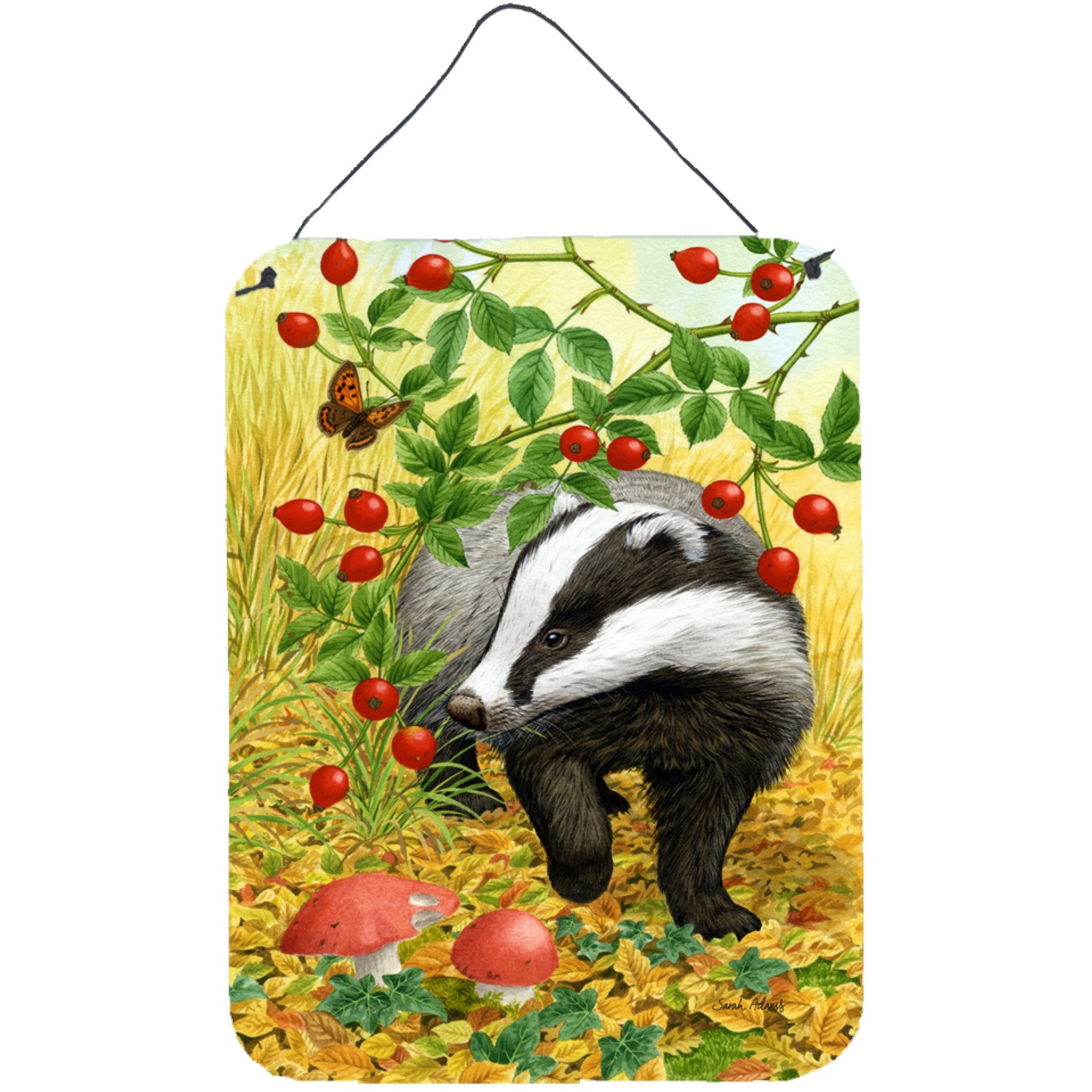 &quotCaroline's Treasures Badger Wall or Door Hanging Prints ASA2135DS1216, 16HX12W, Multicolor"