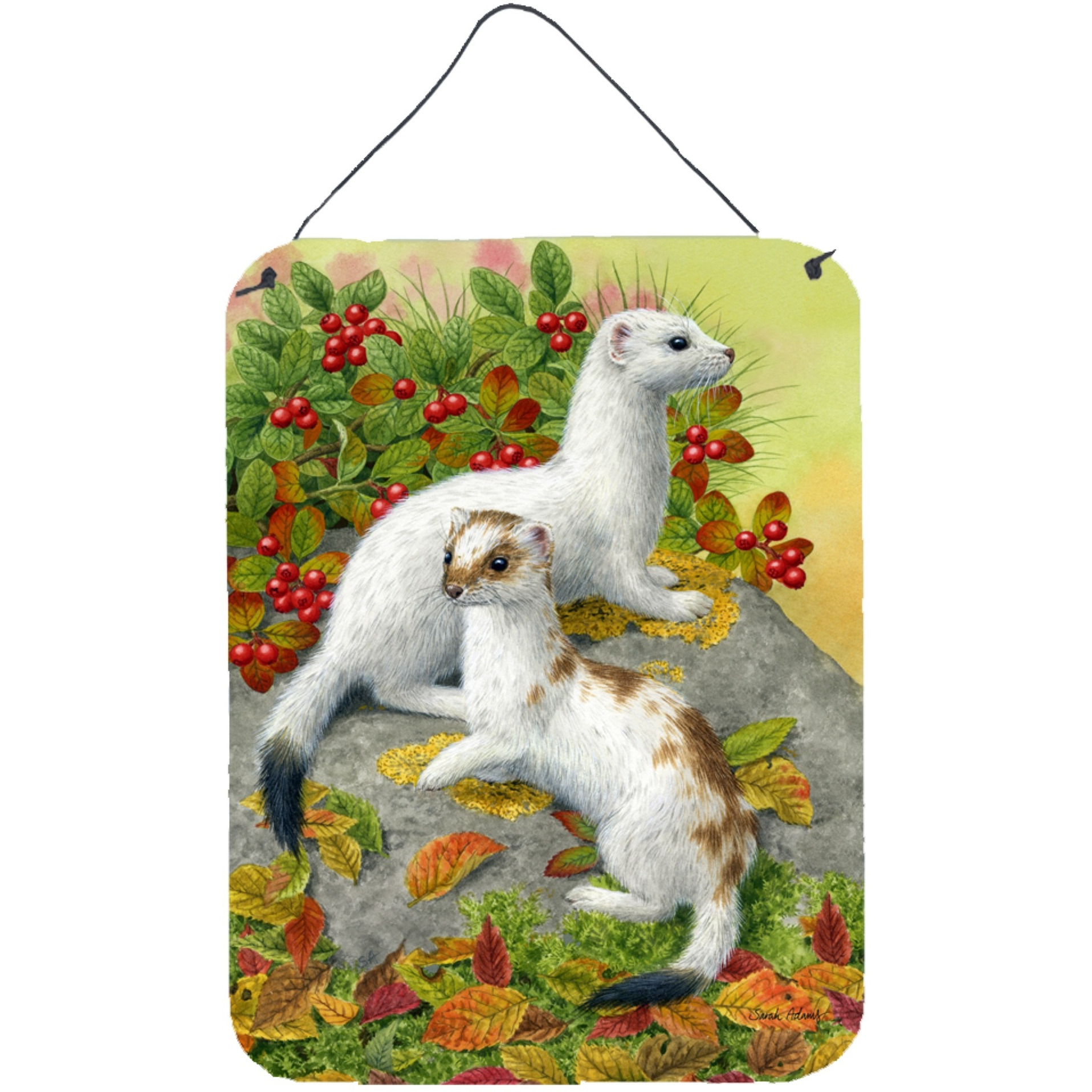 &quotCaroline's Treasures Ermine Stoat Short-tailed Weasel Wall or Door Hanging Prints ASA2138DS1216, 16HX12W, Multicolor"