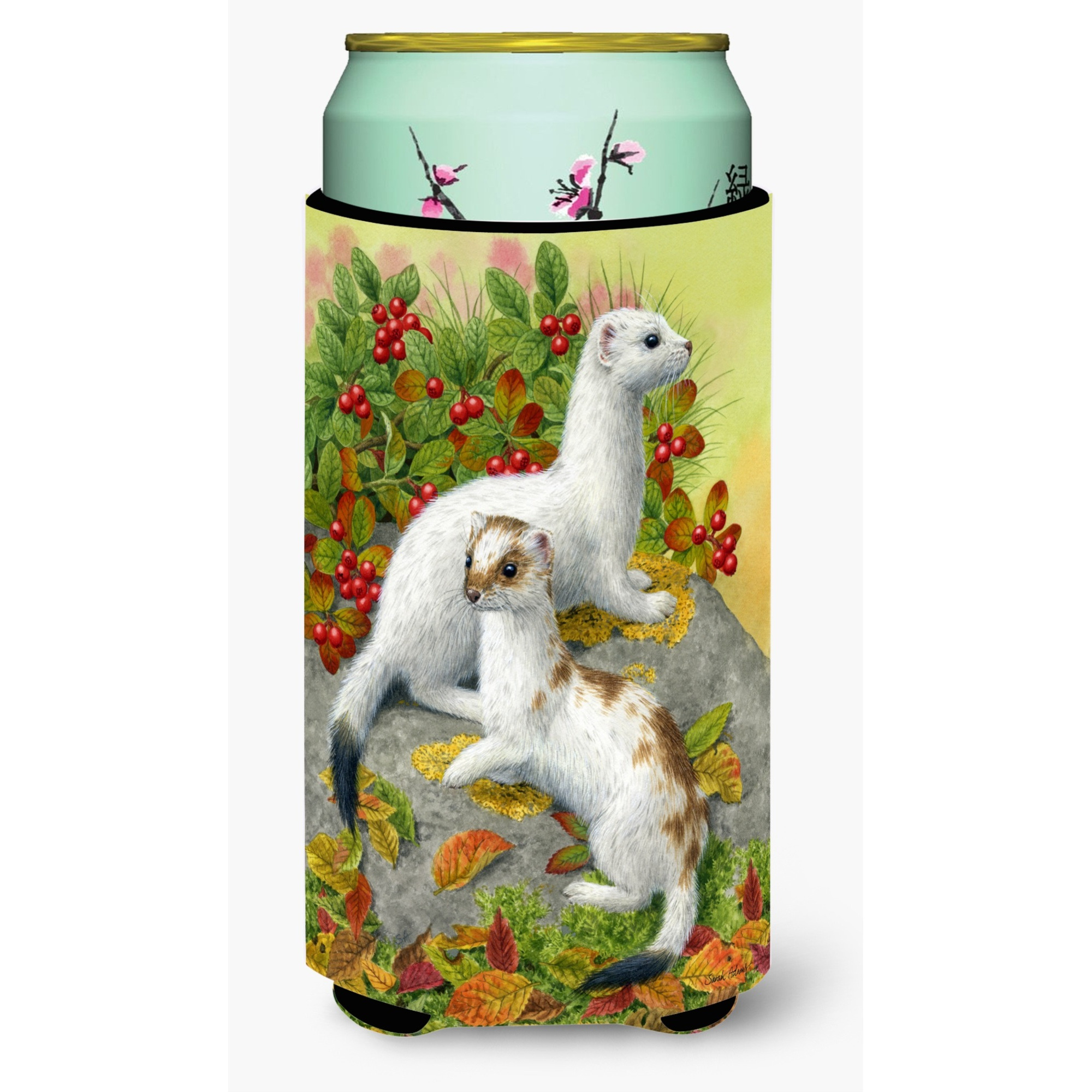 &quotCaroline's Treasures Ermine Stoat Short-Tailed Weasel Tall Boy Koozie Hugger, Multicolor"