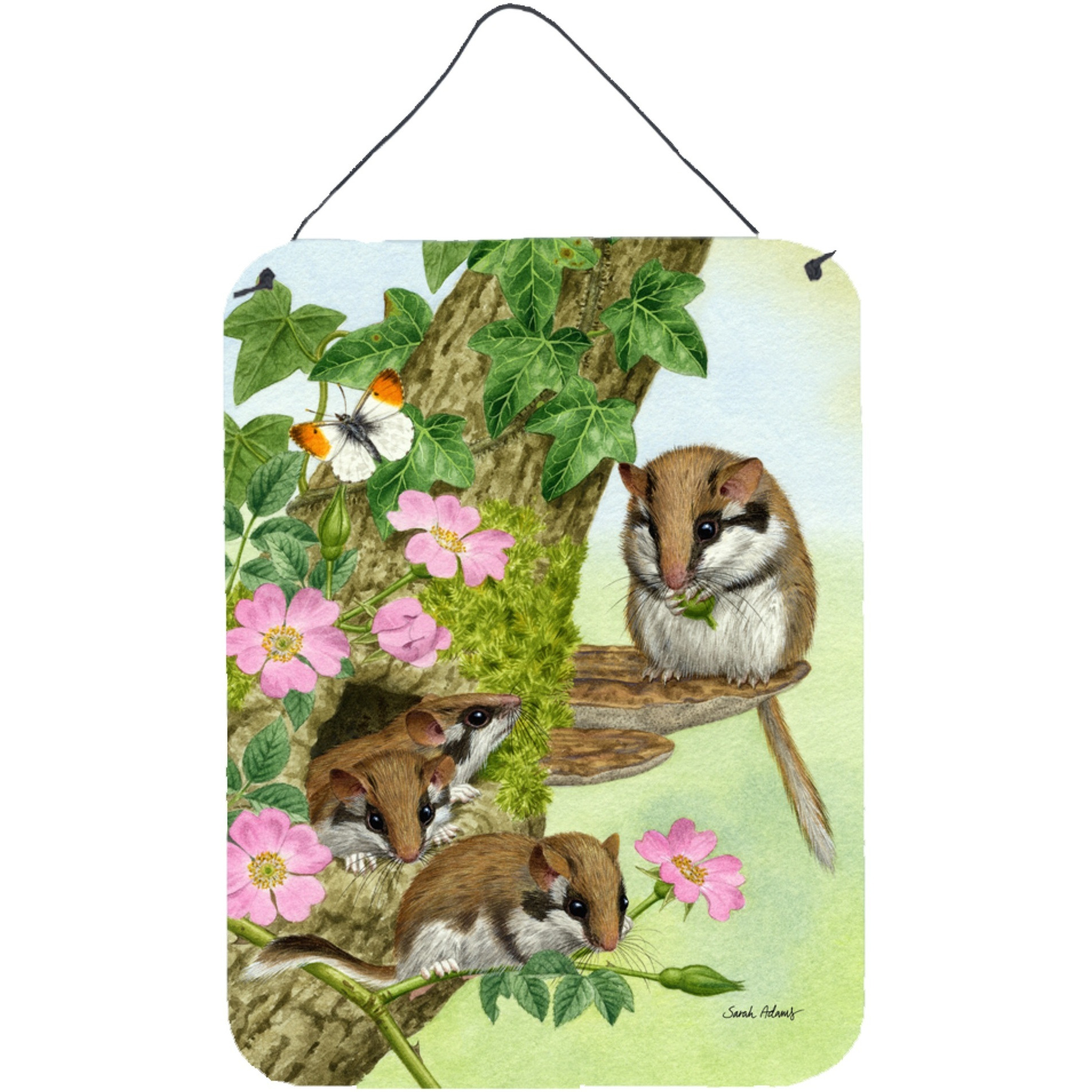 &quotCaroline's Treasures Dormice Dormouse Wall or Door Hanging Prints ASA2139DS1216, 16HX12W, Multicolor"