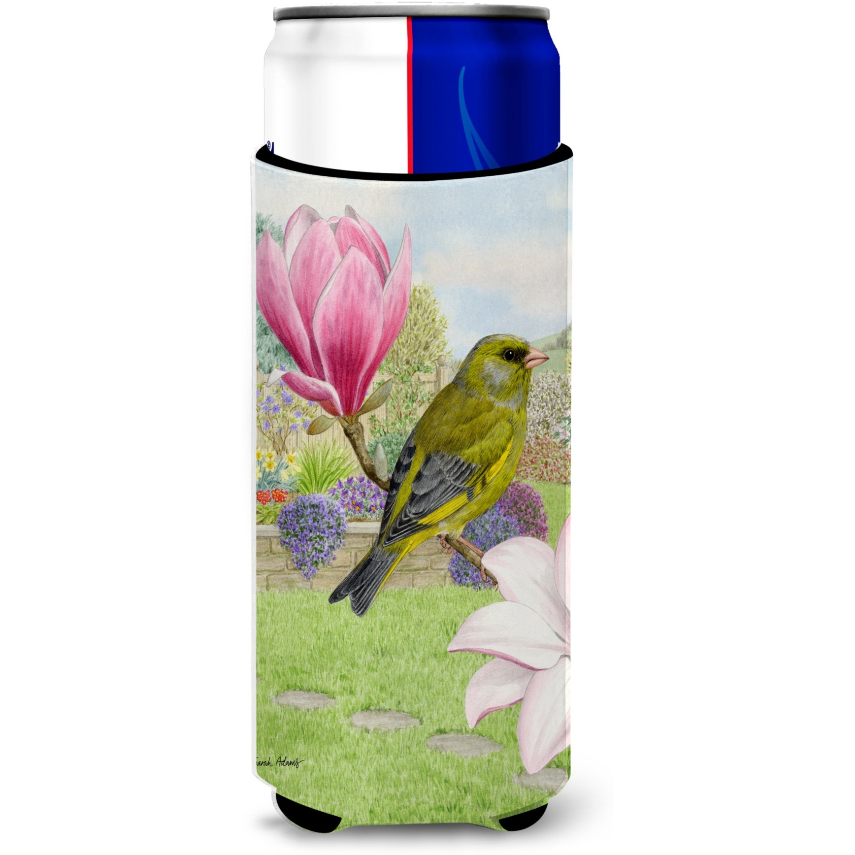 &quotCaroline's Treasures ASA2145MUK European Greenfinch Michelob Ultra Koozies for Slim Cans, Multicolor"