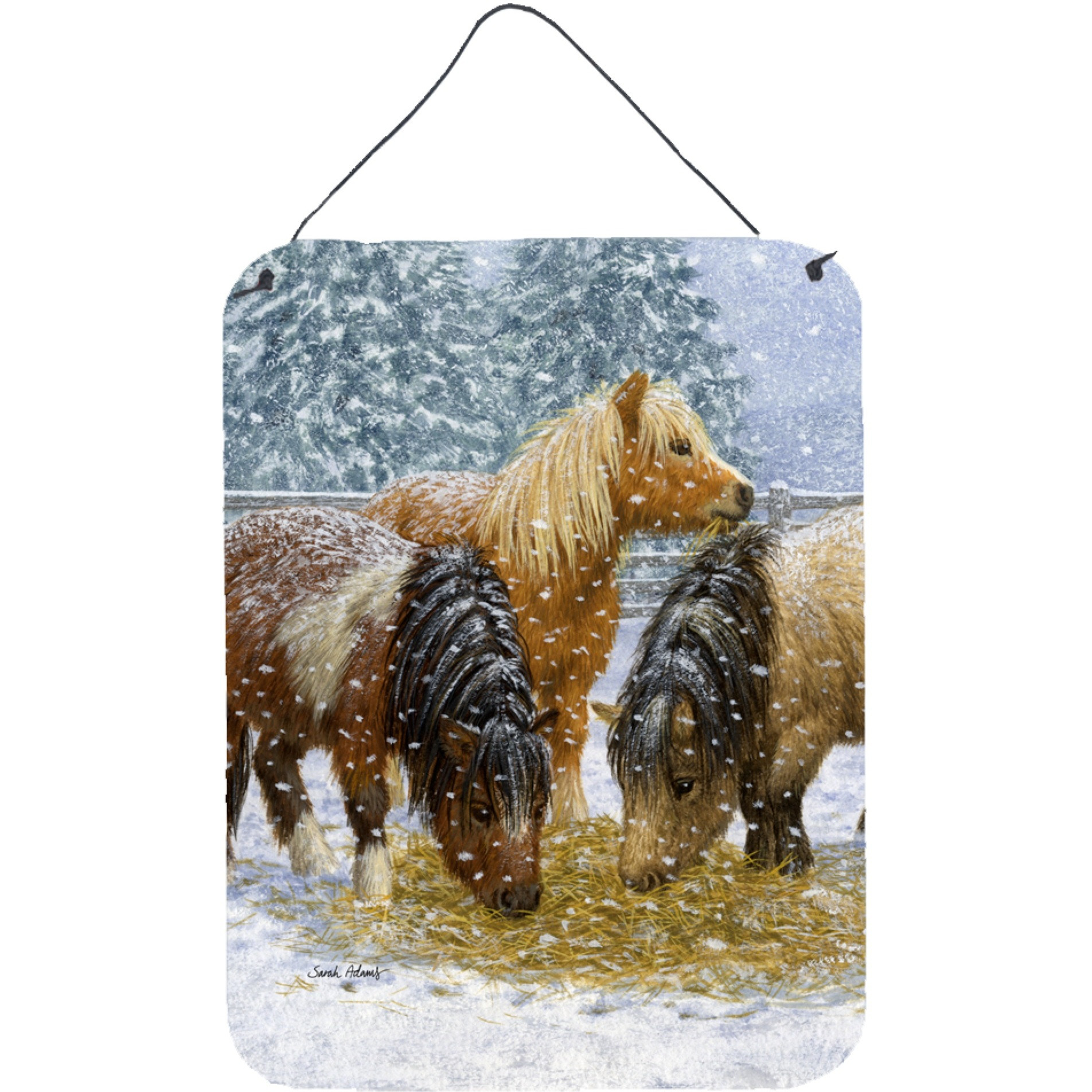 &quotCaroline's Treasures Shetland Ponies Wall or Door Hanging Prints ASA2146DS1216, 16HX12W, Multicolor"
