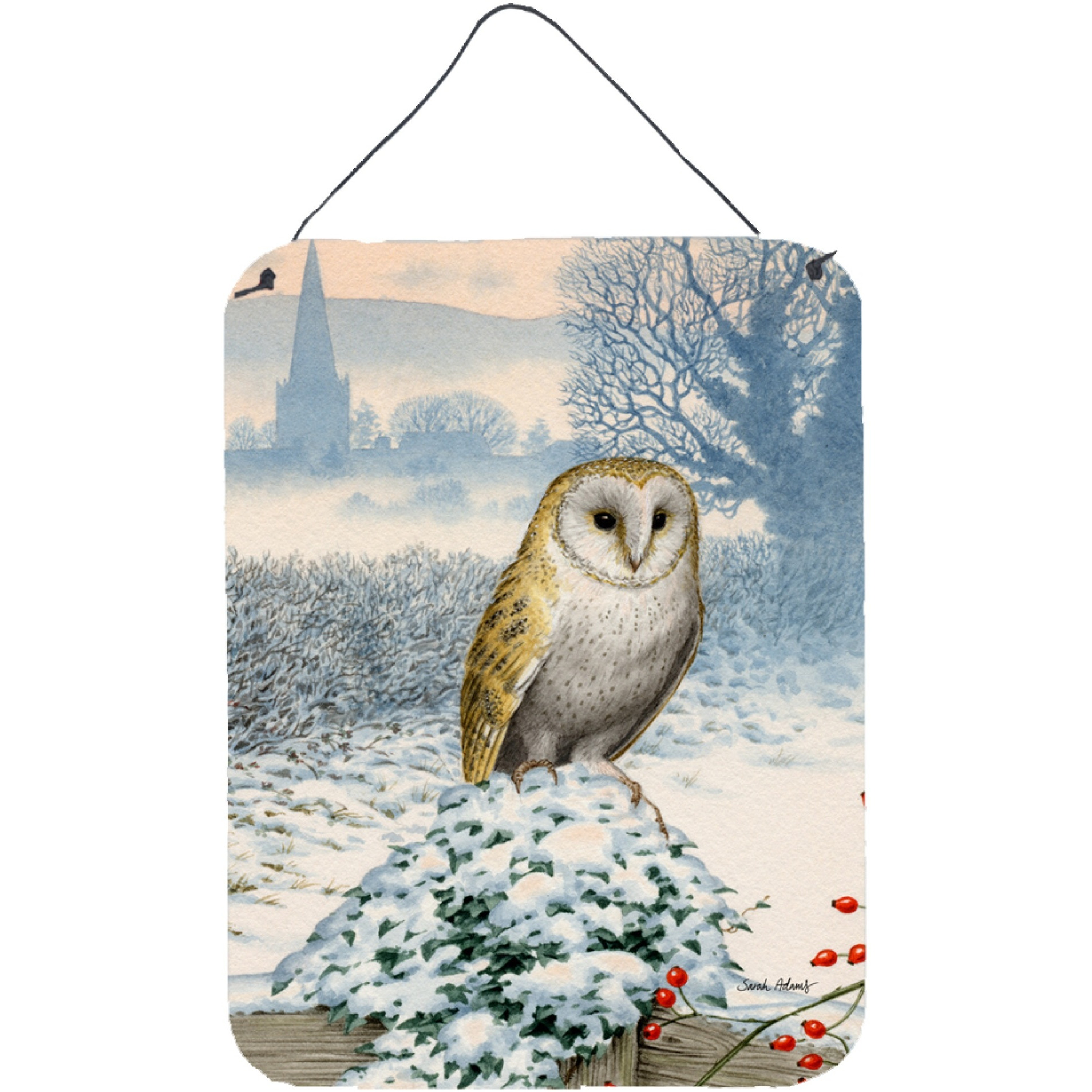 &quotCaroline's Treasures Barn Owl Wall or Door Hanging Prints ASA2157DS1216, 16HX12W, Multicolor"