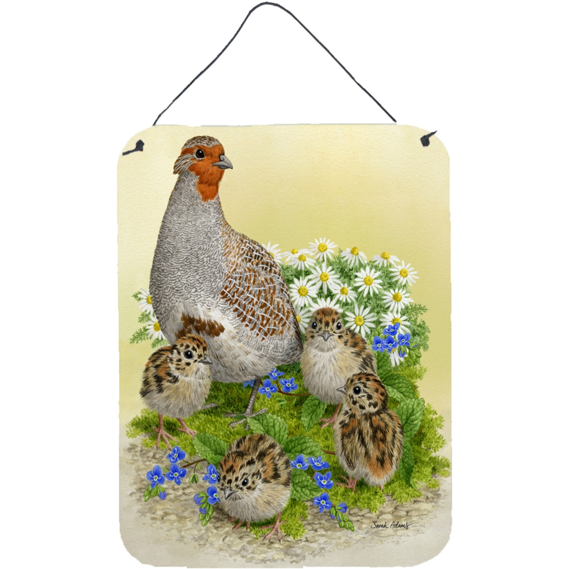 &quotCaroline's Treasures Partridge and Chicks Wall or Door Hanging Prints ASA2162DS1216, 16HX12W, Multicolor"