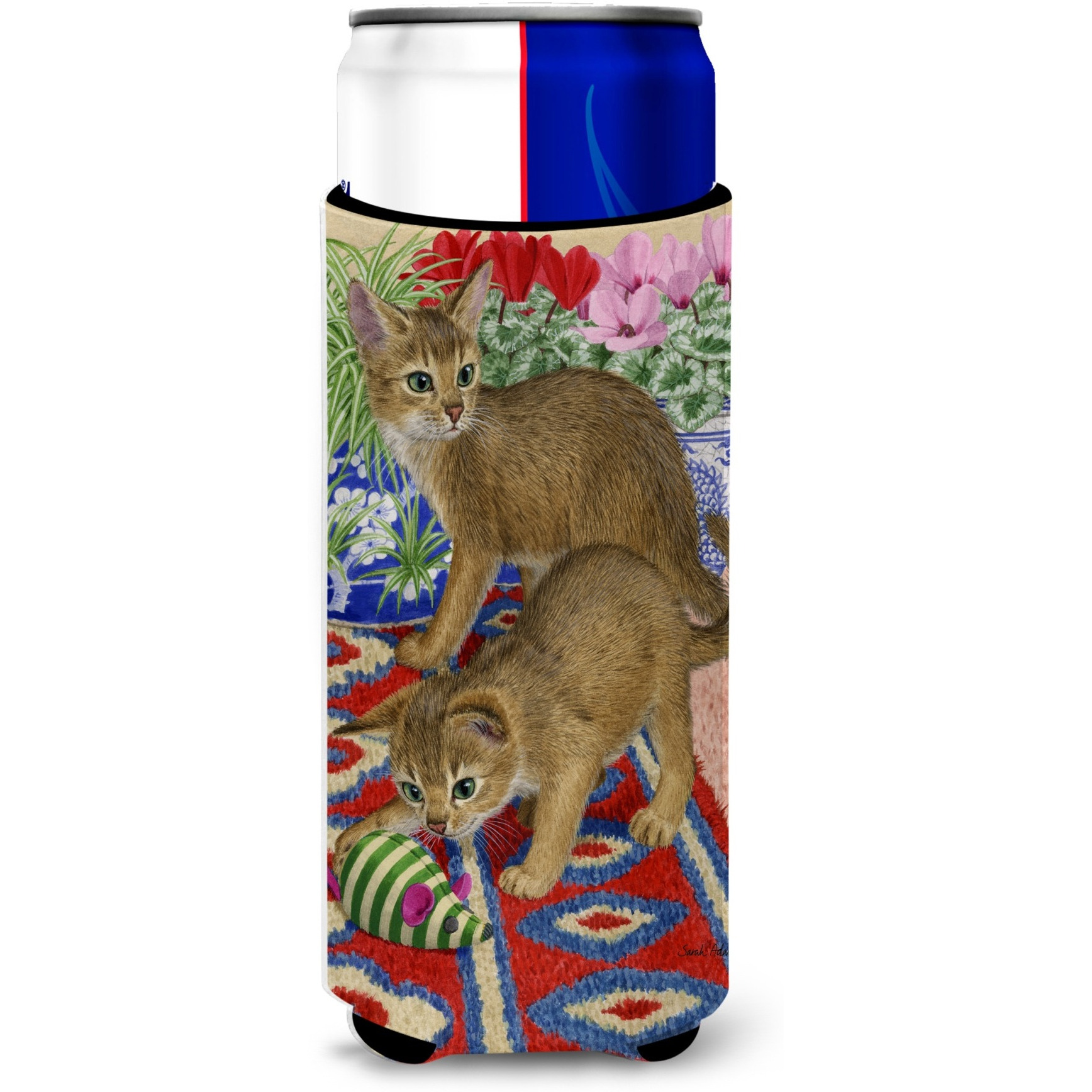 &quotCaroline's Treasures Abyssinian Kitten Michelob Ultra Koozies for Slim Cans, Multicolor"