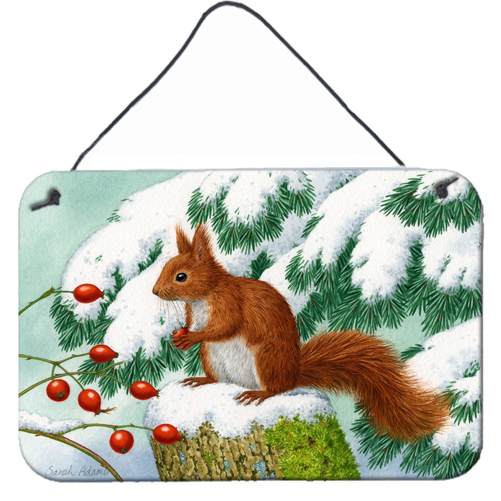 &quotCaroline's Treasures Winter Red Squirrel Wall or Door Hanging Prints ASA2172DS812, 8HX12W, Multicolor"