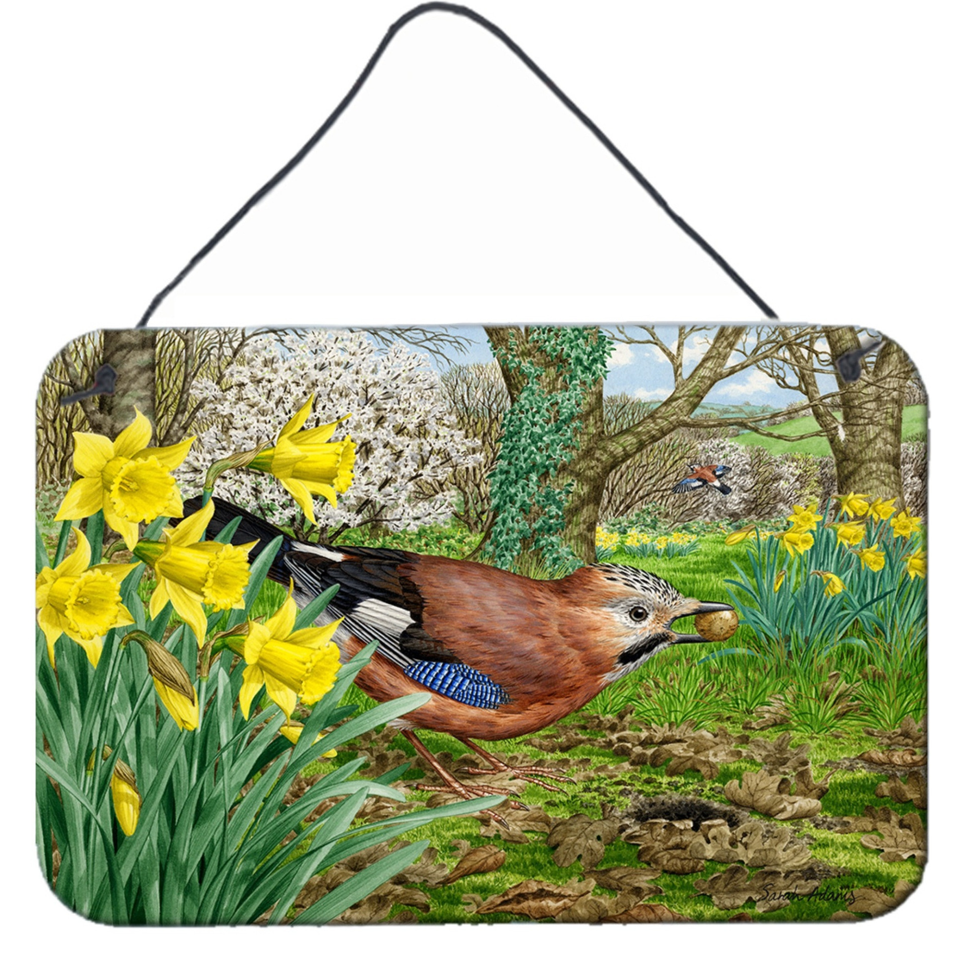 &quotCaroline's Treasures Jay Wall or Door Hanging Prints ASA2176DS812, 8HX12W, Multicolor"