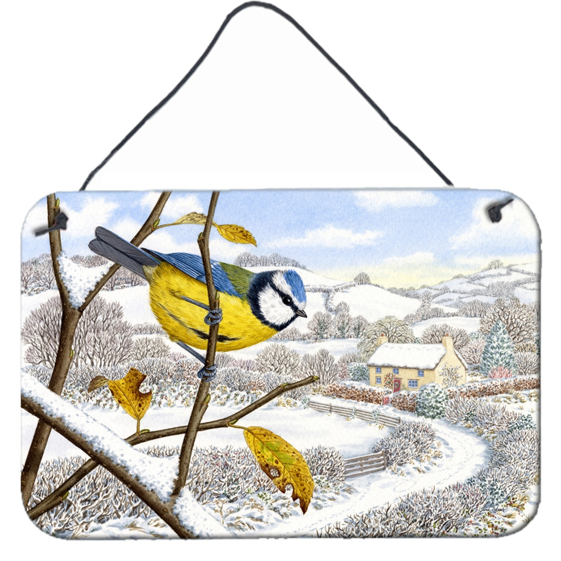&quotCaroline's Treasures Winter Eurasian Blue Tit Wall or Door Hanging Prints ASA2188DS812, 8"&quotH x 12"&quotW, Multicolor"