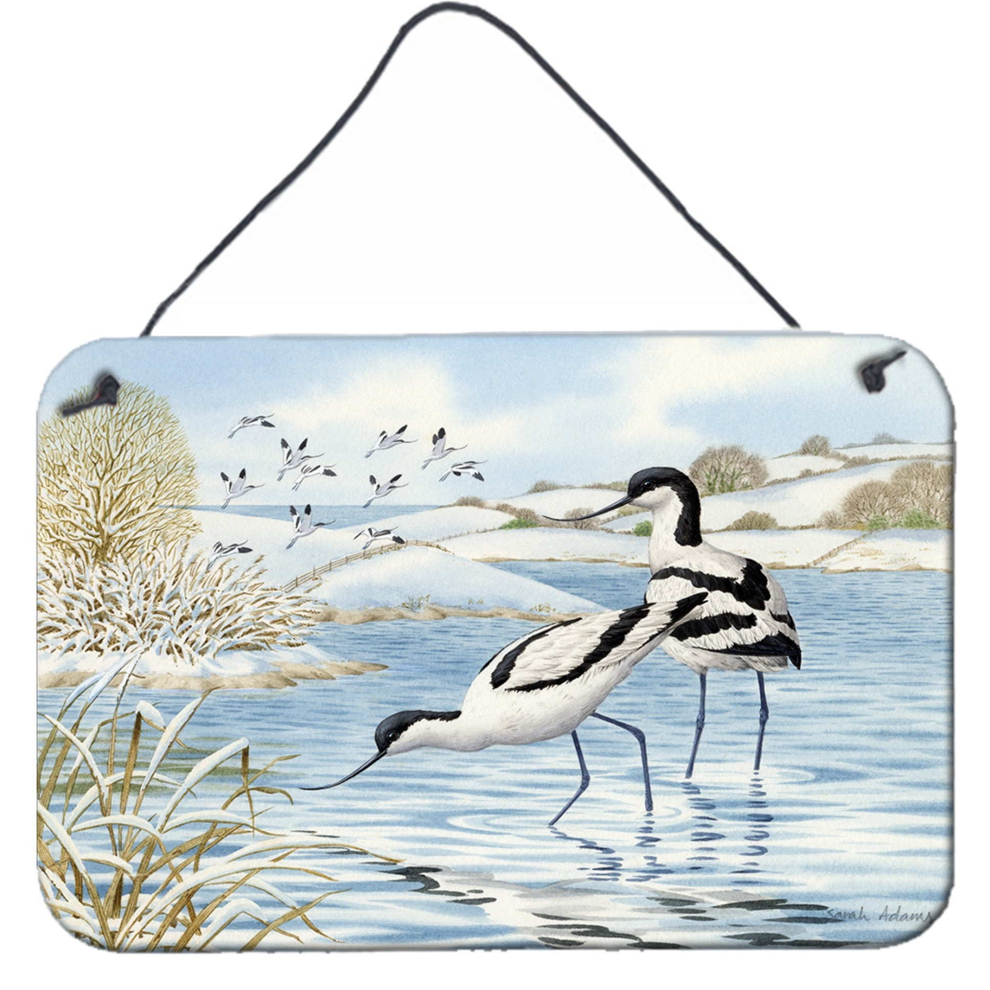 &quotCaroline's Treasures Avocet Wall or Door Hanging Prints ASA2190DS812, 8HX12W, Multicolor"