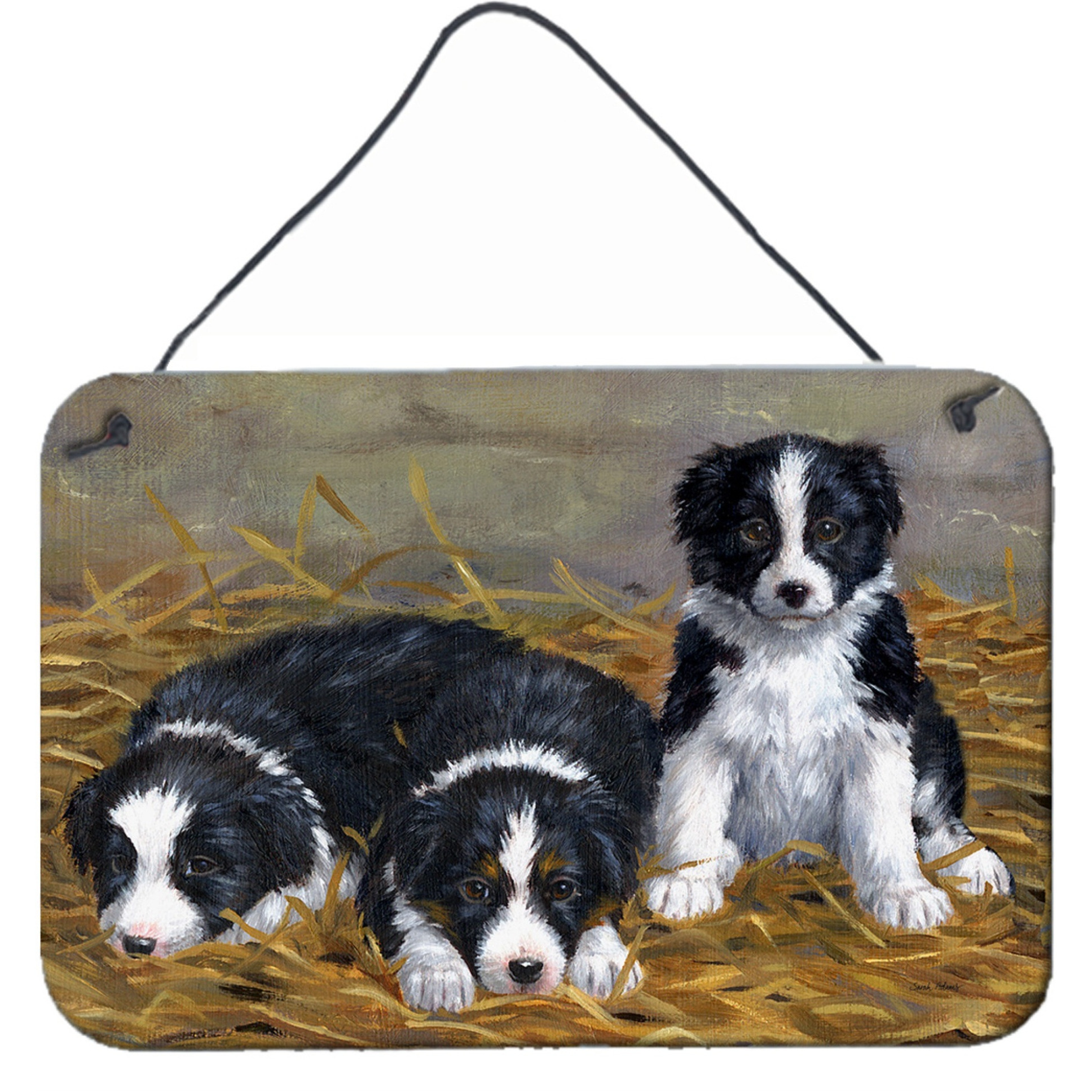 &quotCaroline's Treasures Border Collie Puppies Wall or Door Hanging Prints ASA2196DS812, 8HX12W, Multicolor"