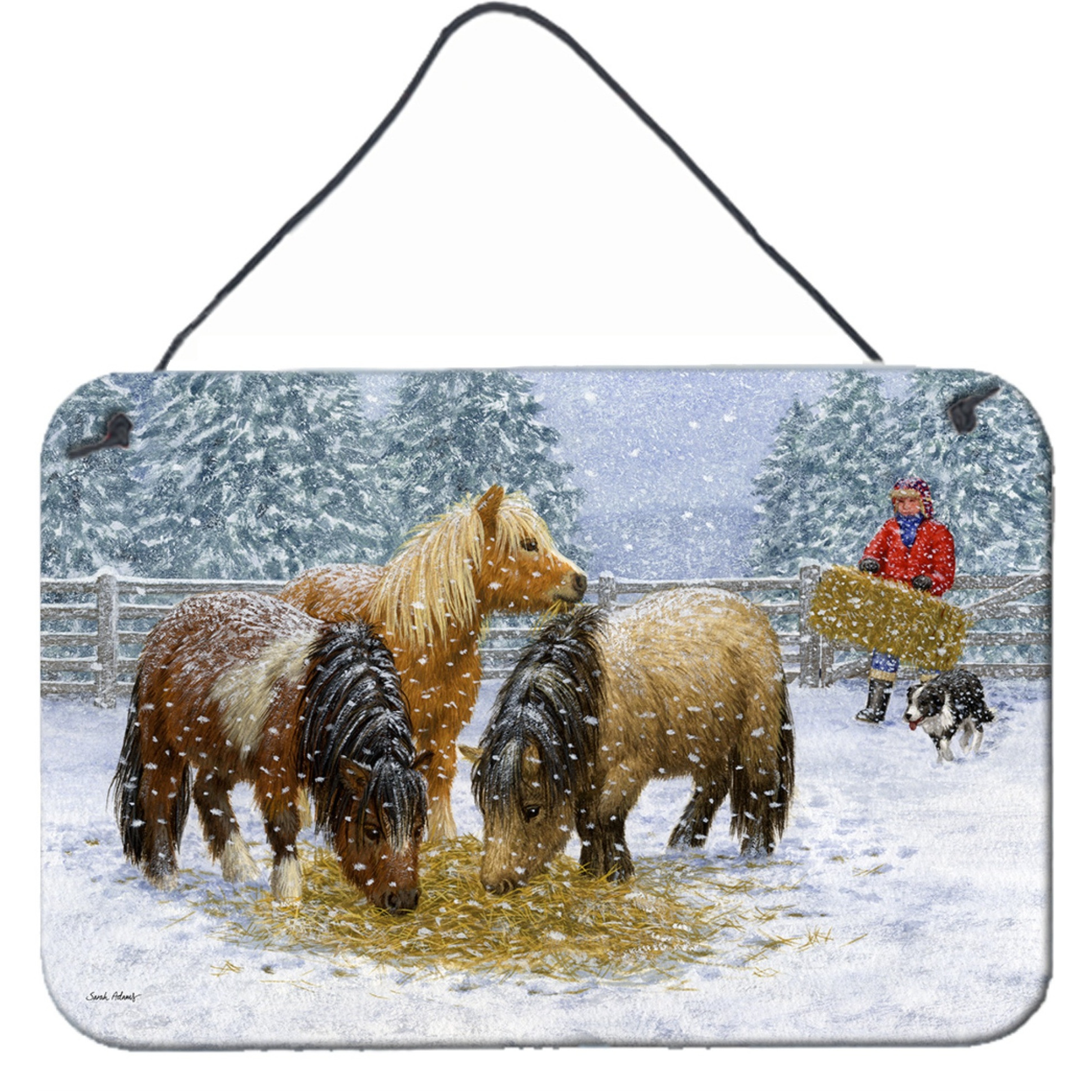 &quotCaroline's Treasures Shetland Ponies Wall or Door Hanging Prints ASA2206DS812, 8HX12W, Multicolor"