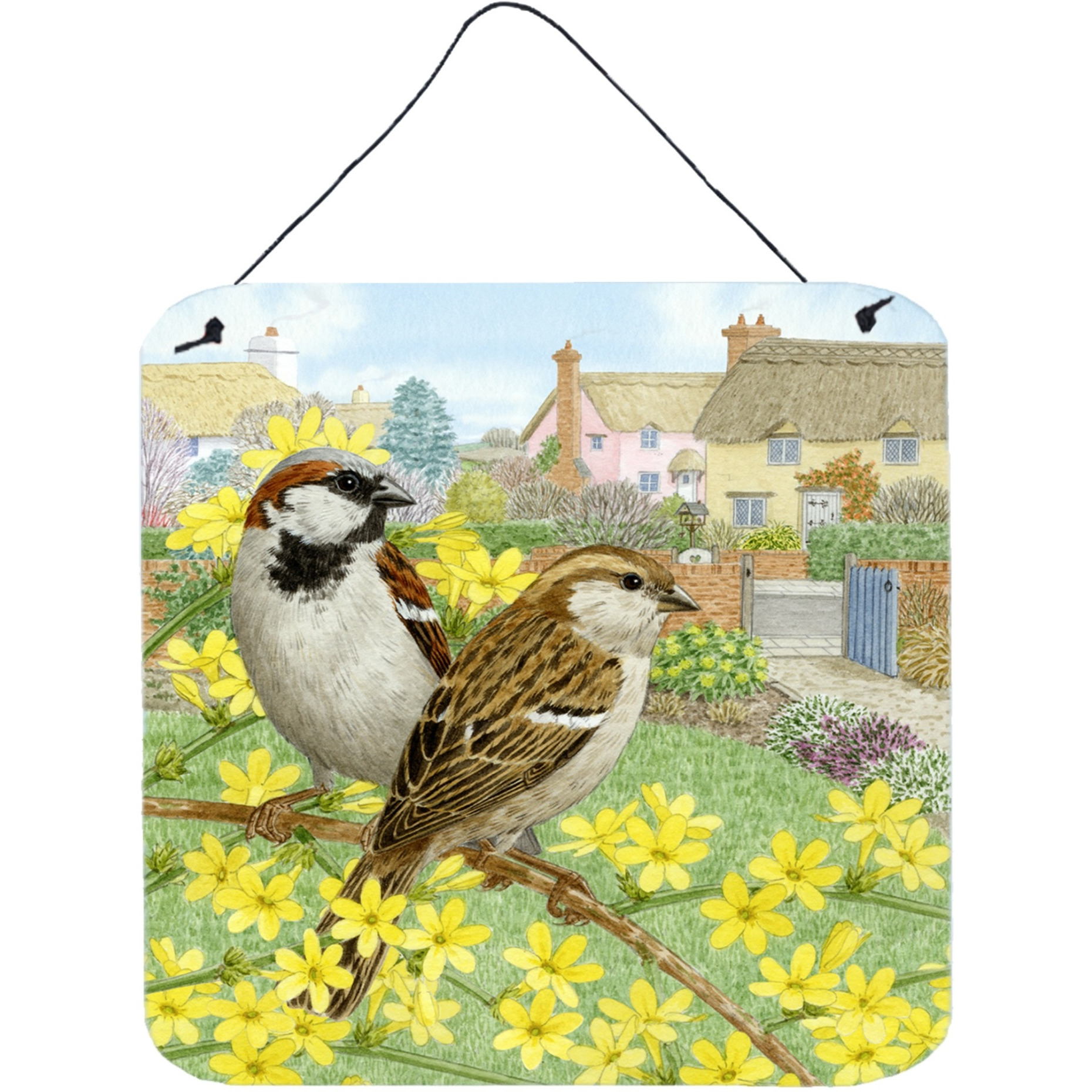 &quotCaroline's Treasures House Sparrows by Sarah Adams Wall or Door Hanging Prints ASAD0677DS66, 6HX6W, Multicolor"