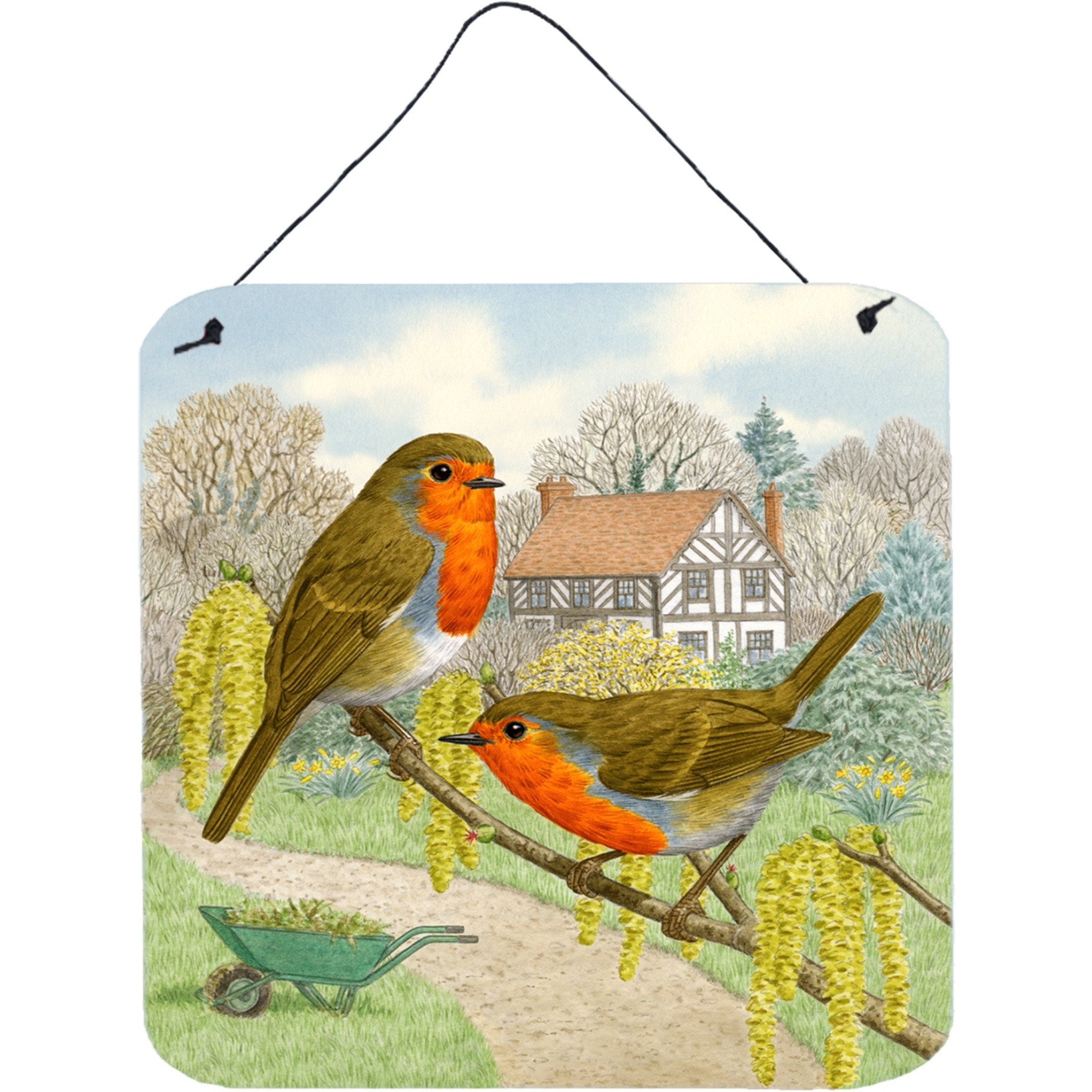 &quotCaroline's Treasures European Robin by Sarah Adams Wall or Door Hanging Prints ASAD0684DS66, 6HX6W, Multicolor"