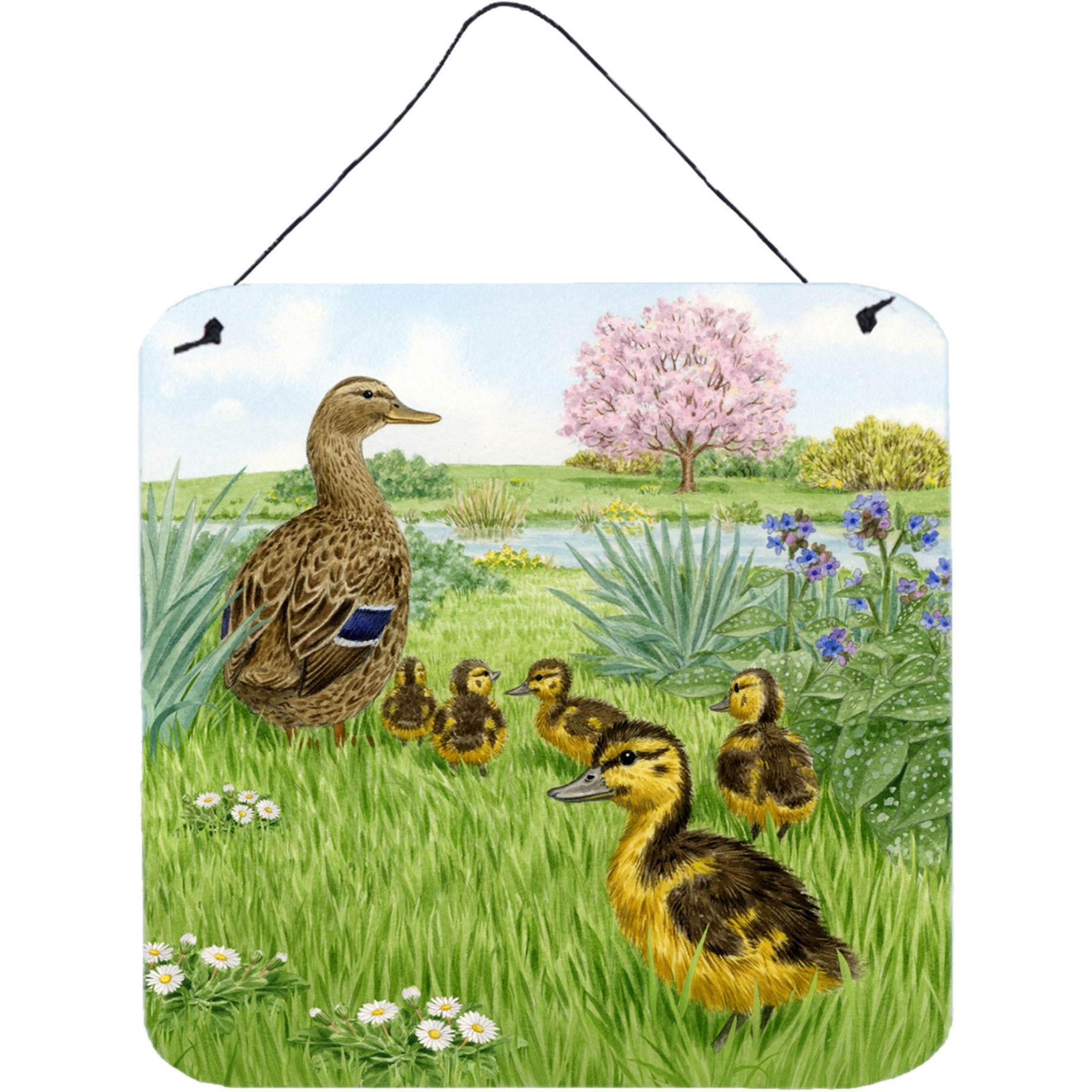 &quotCaroline's Treasures Mallard and Ducklings by Sarah Adams Wall or Door Hanging Prints ASAD0693DS66, 6HX6W, Multicolor"