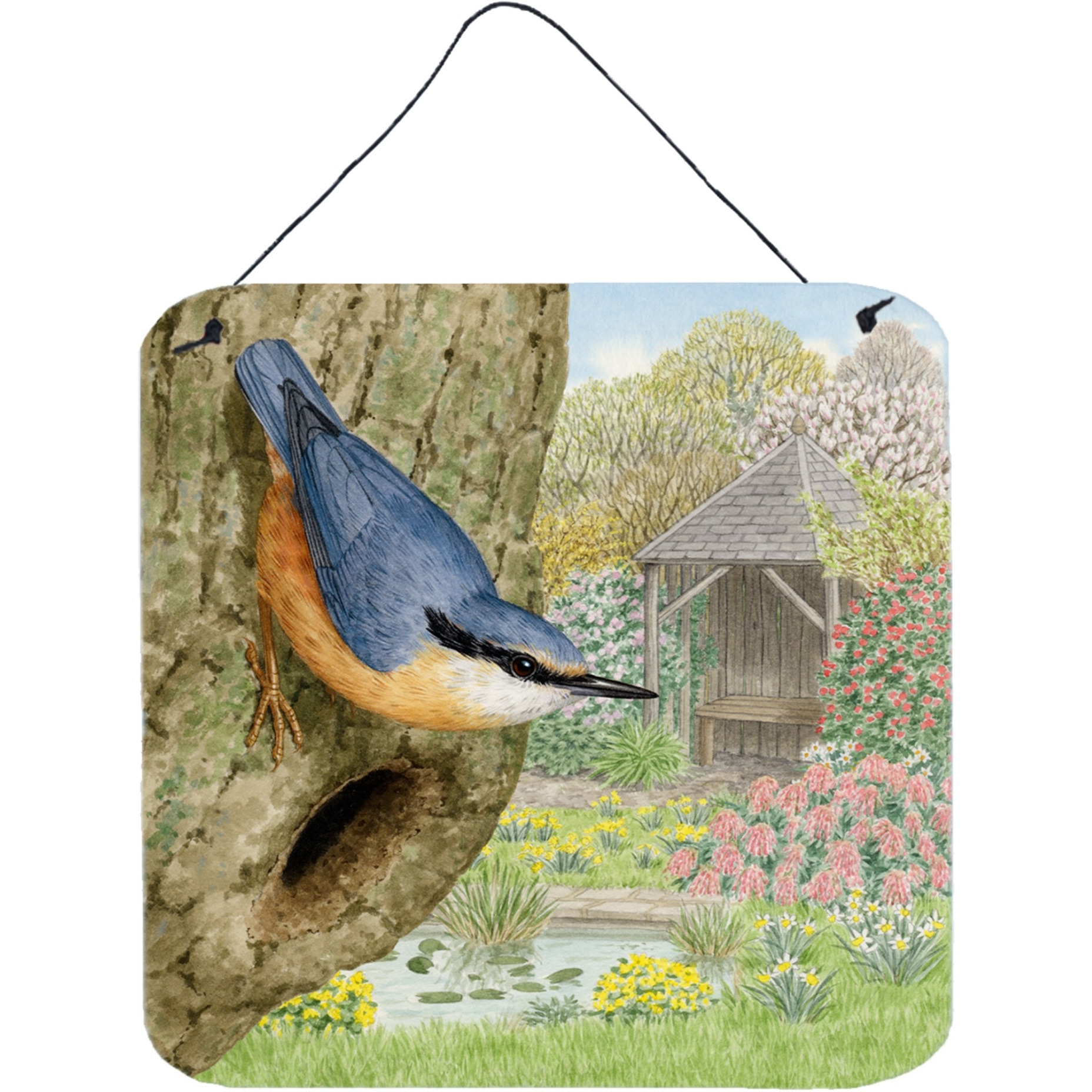 &quotCaroline's Treasures Nuthatch by Sarah Adams Wall or Door Hanging Prints ASAD0696DS66, 6HX6W, Multicolor"