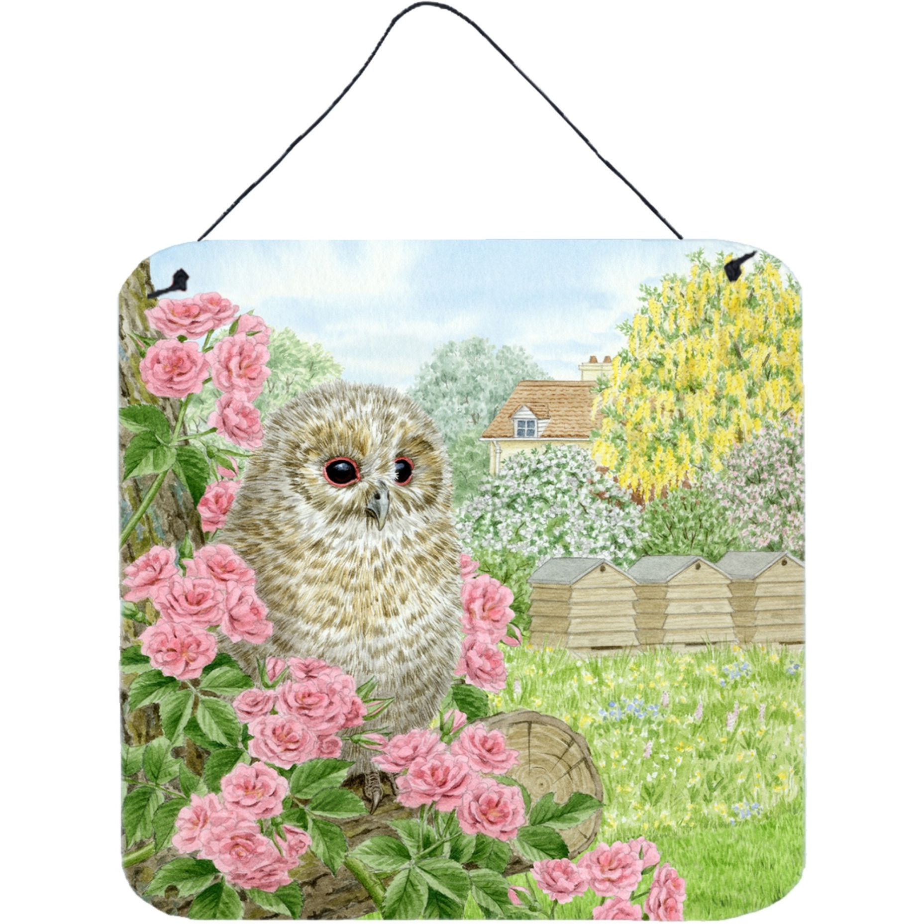 &quotCaroline's Treasures Tawny Owlet by Sarah Adams Wall or Door Hanging Prints ASAD0697DS66, 6HX6W, Multicolor"