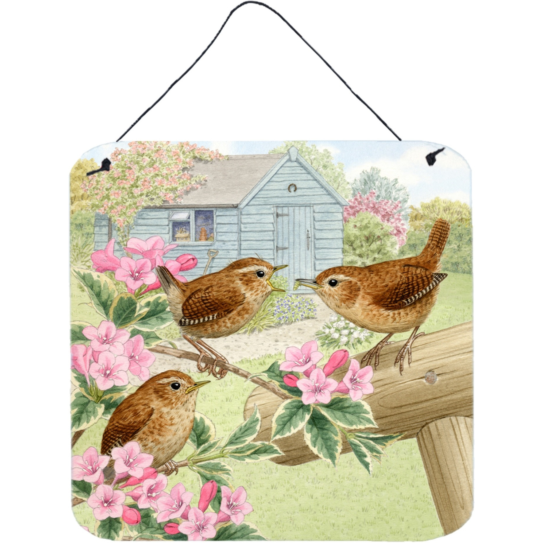 &quotCaroline's Treasures Wrens by Sarah Adams Wall or Door Hanging Prints ASAD183ADS66, 6HX6W, Multicolor"