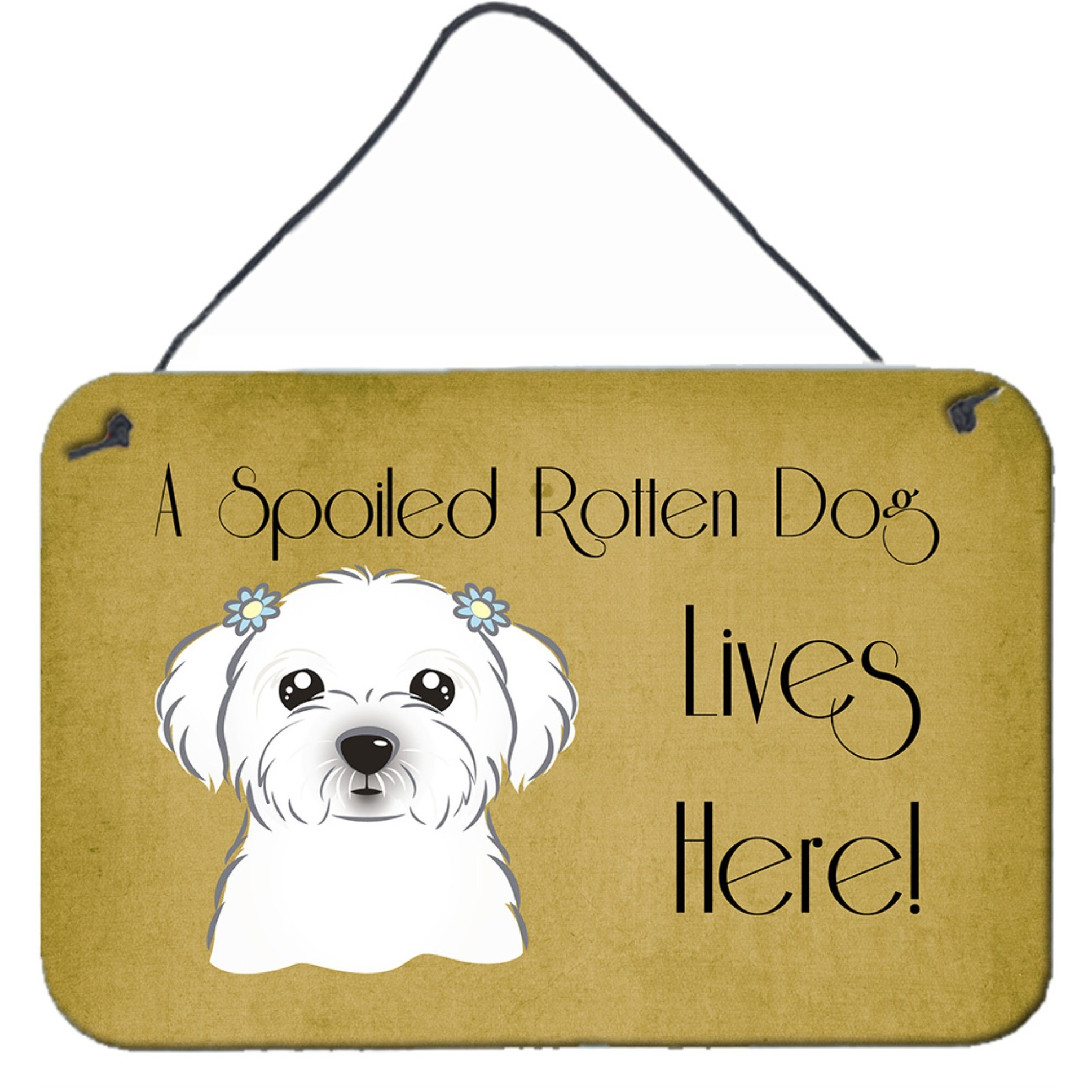 &quotCaroline's Treasures BB1456DS812 Maltese Spoiled Dog Lives Here Wall or Door Hanging Prints, 8 x 12"", Multicolor"