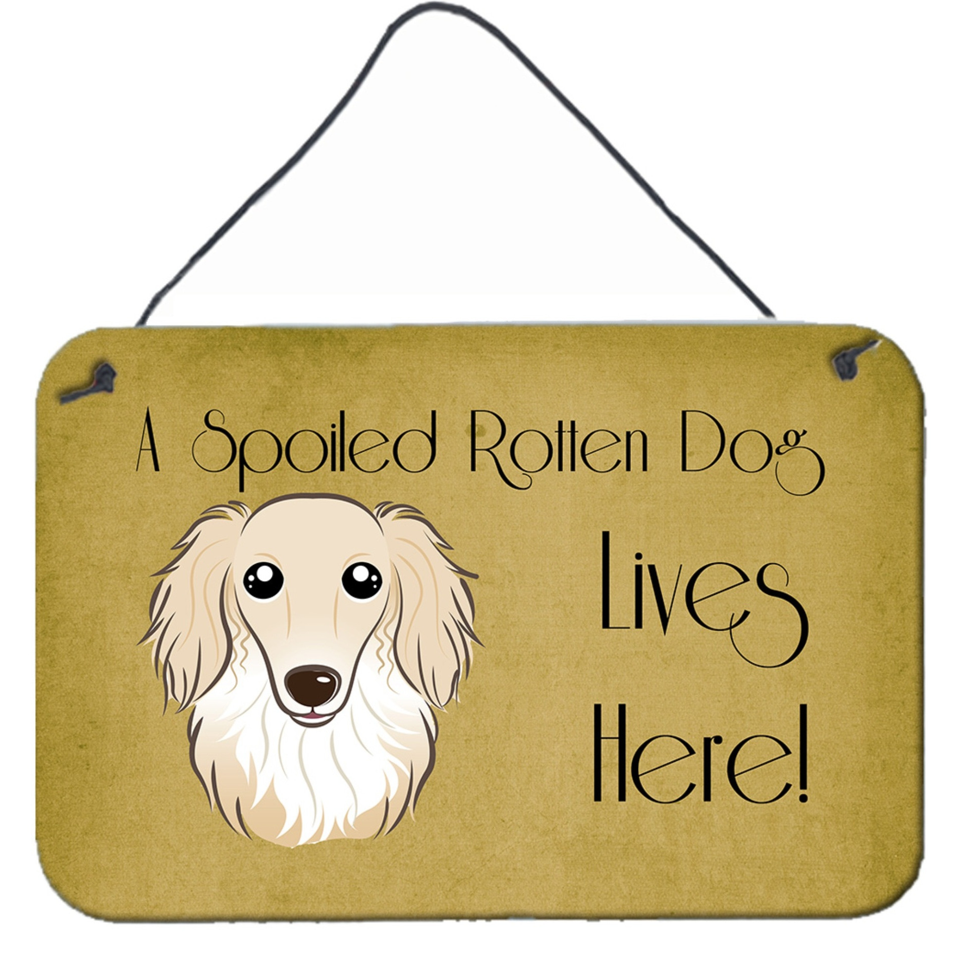 &quotCaroline's Treasures BB1460DS812 Longhair Creme Dachshund Spoiled Dog Lives Here Wall or Door Hanging Prints, 8 x 12"", Multicolor"