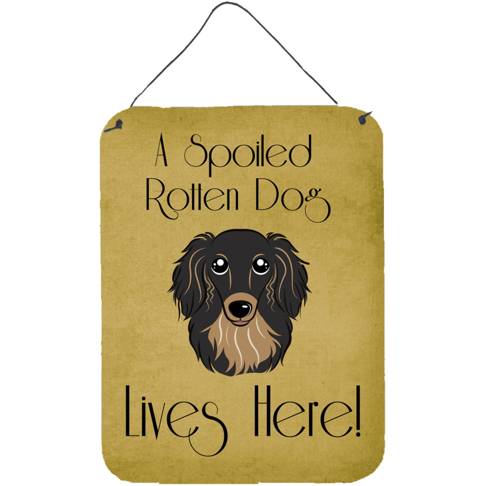 &quotCaroline's Treasures BB1461DS1216 Longhair Black and Tan Dachshund Spoiled Dog Lives Here Wall or Door Hanging Prints, 16 x 12"", Multicolor"