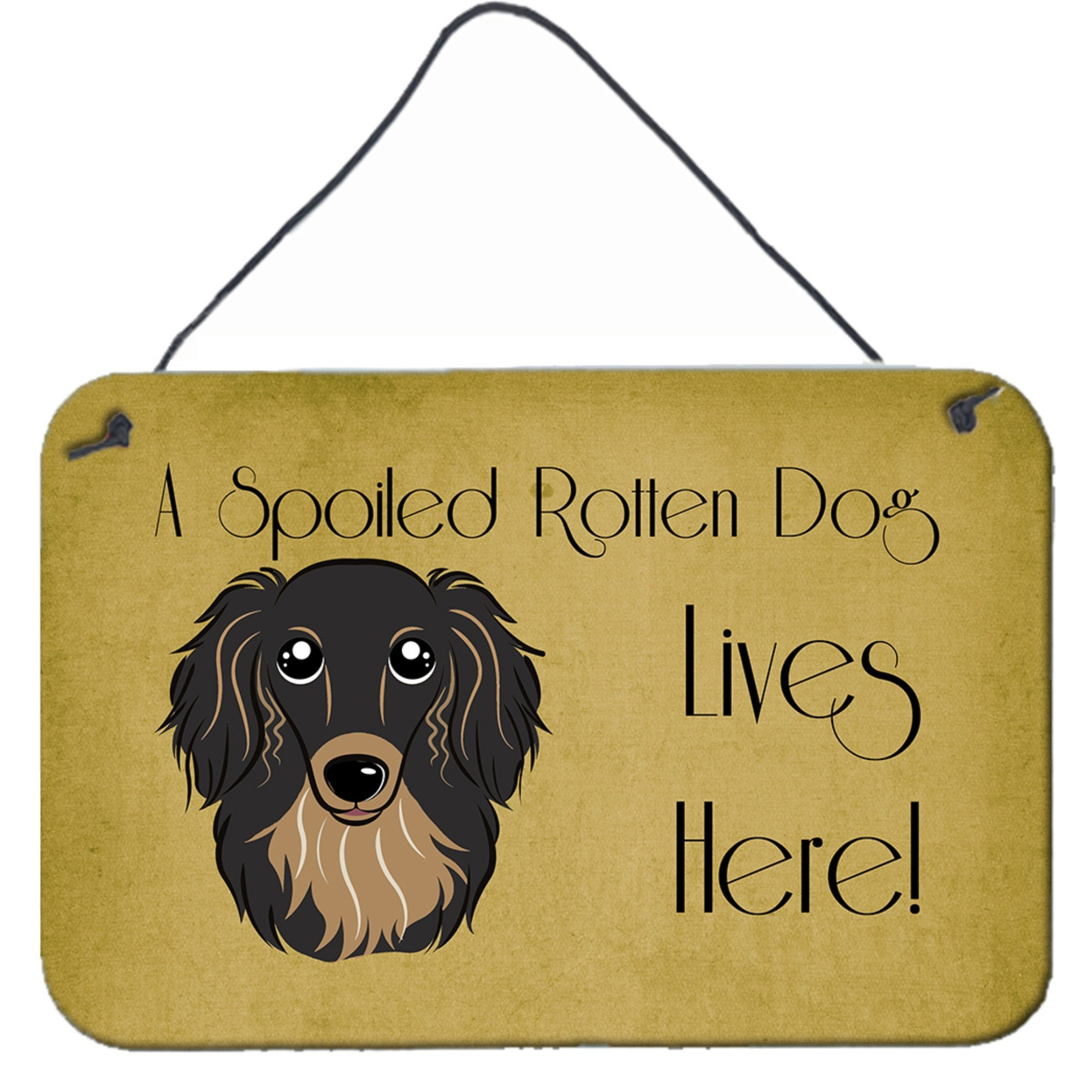 &quotCaroline's Treasures BB1461DS812 Longhair Black and Tan Dachshund Spoiled Dog Lives Here Wall or Door Hanging Prints, 8 x 12"", Multicolor"