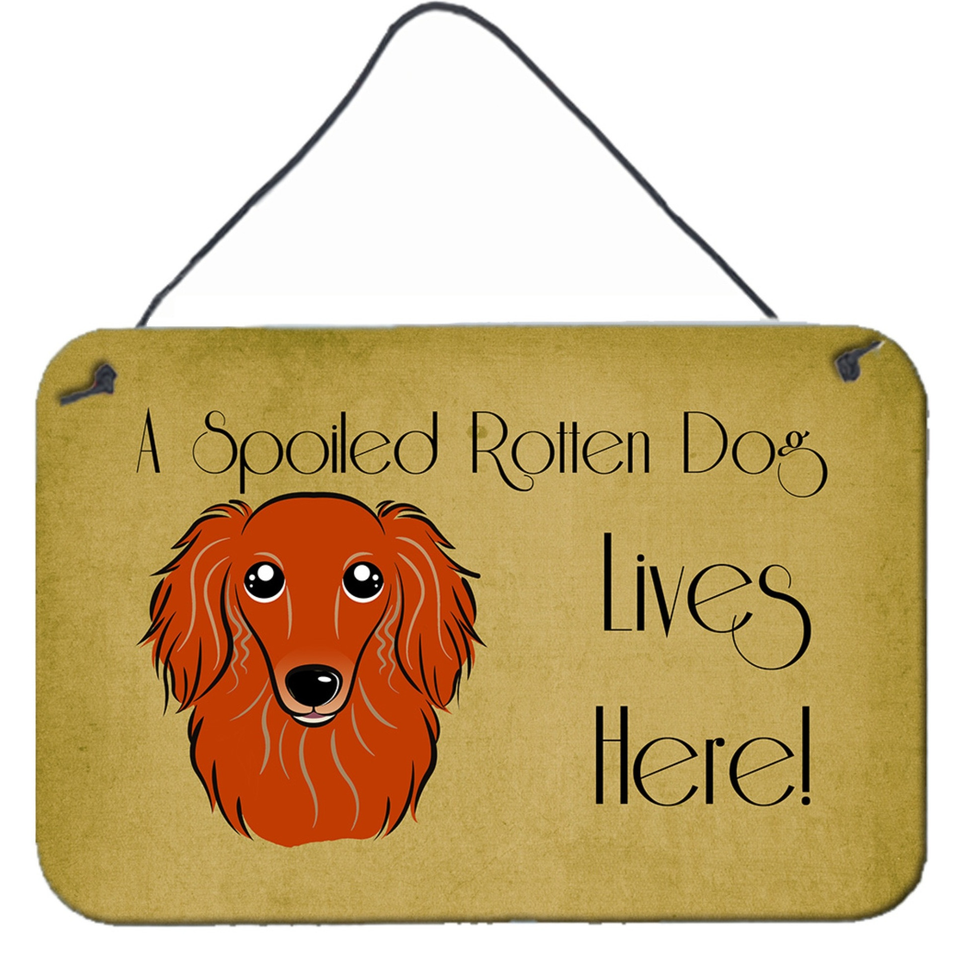 &quotCaroline's Treasures BB1462DS812 Longhair Red Dachshund Spoiled Dog Lives Here Wall or Door Hanging Prints, 8 x 12"", Multicolor"