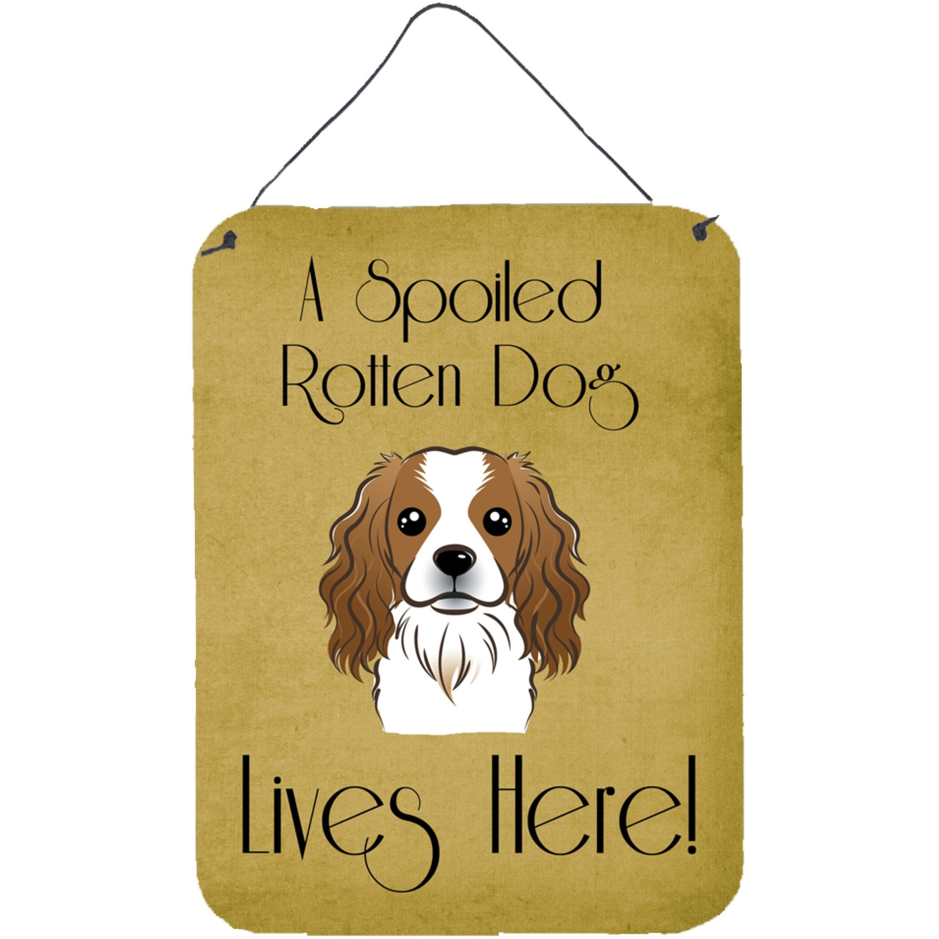 &quotCaroline's Treasures BB1472DS1216 Cavalier Spaniel Spoiled Dog Lives Here Wall or Door Hanging Prints, 16 x 12"", Multicolor"