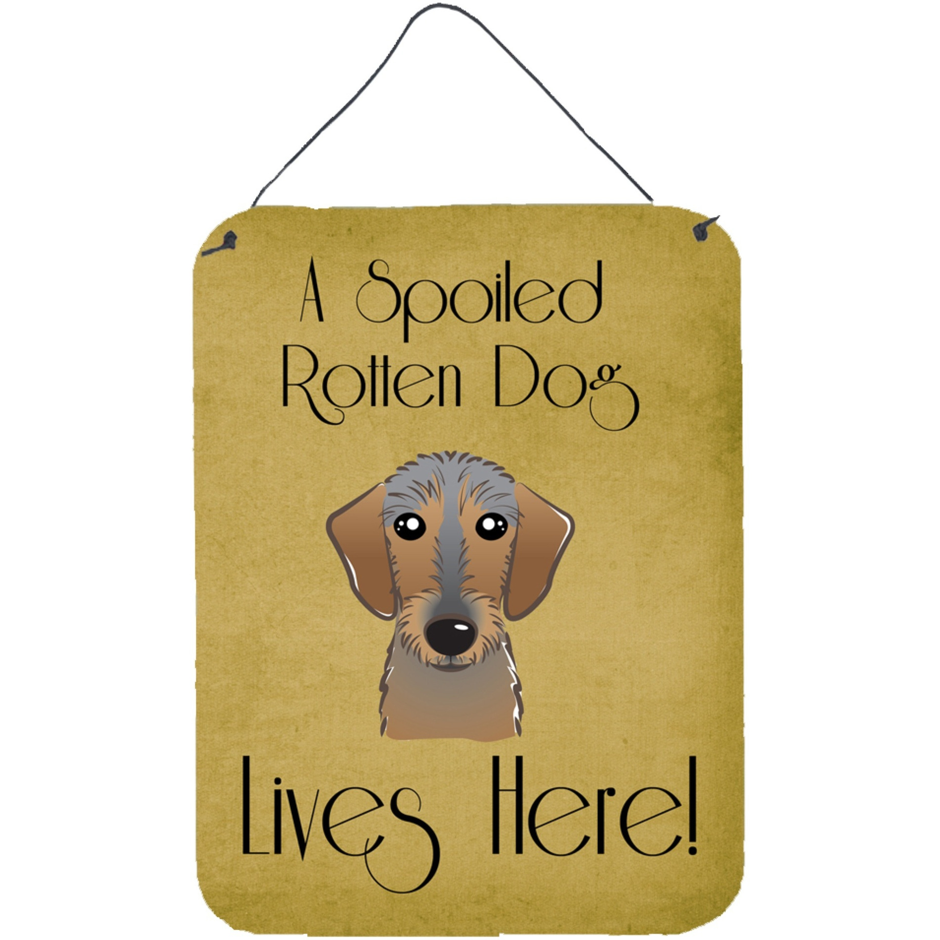&quotCaroline's Treasures BB1481DS1216 Wirehaired Dachshund Spoiled Dog Lives Here Wall or Door Hanging Prints, 16 x 12"", Multicolor"