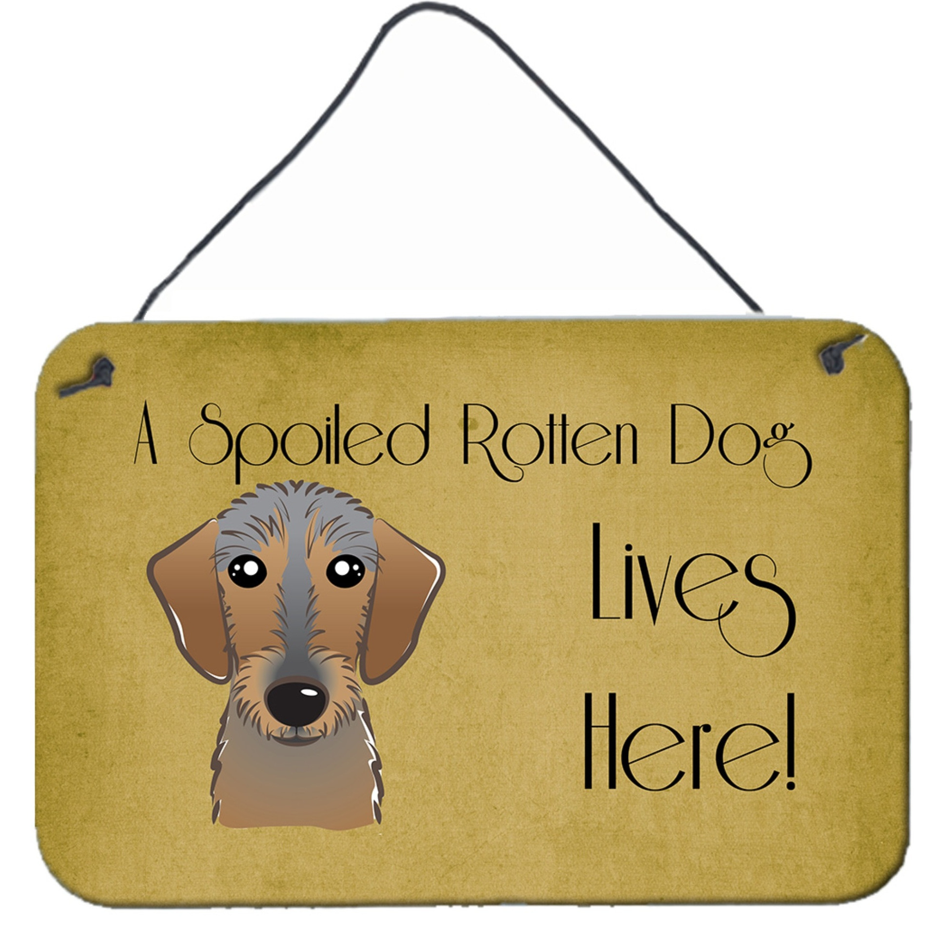 &quotCaroline's Treasures BB1481DS812 Wirehaired Dachshund Spoiled Dog Lives Here Wall or Door Hanging Prints, 8 x 12"", Multicolor"