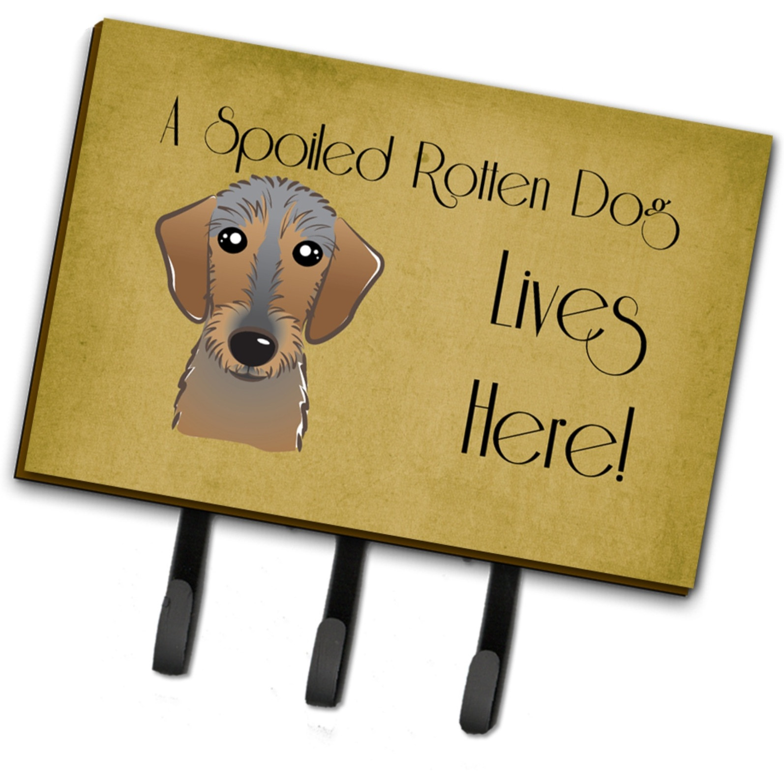 &quotCaroline's Treasures BB1481TH68 Wirehaired Dachshund Spoiled Dog Lives Here Leash or Key Holder, Large, Multicolor"