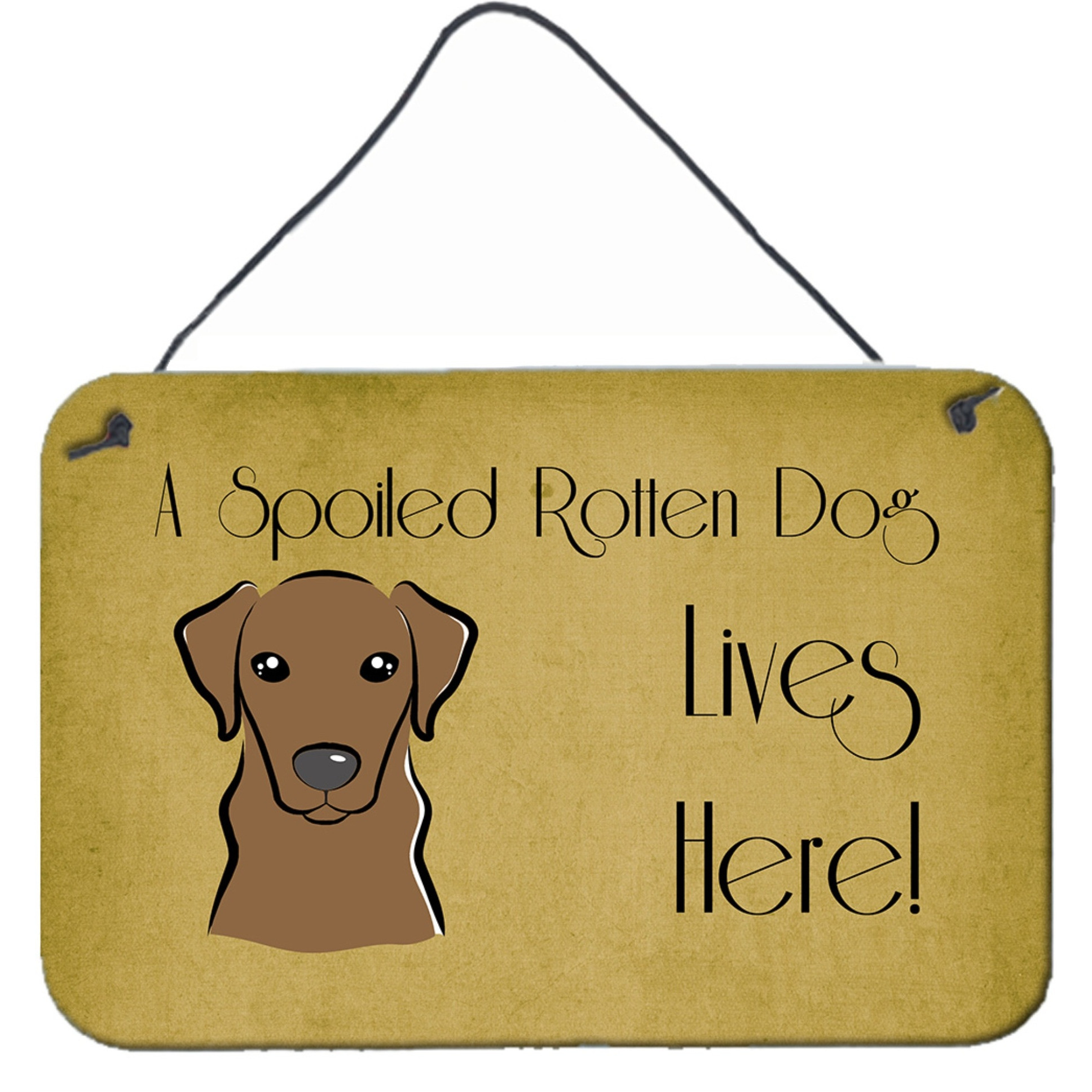 &quotCaroline's Treasures BB1482DS812 Chocolate Labrador Spoiled Dog Lives Here Wall or Door Hanging Prints, 8 x 12"", Multicolor"