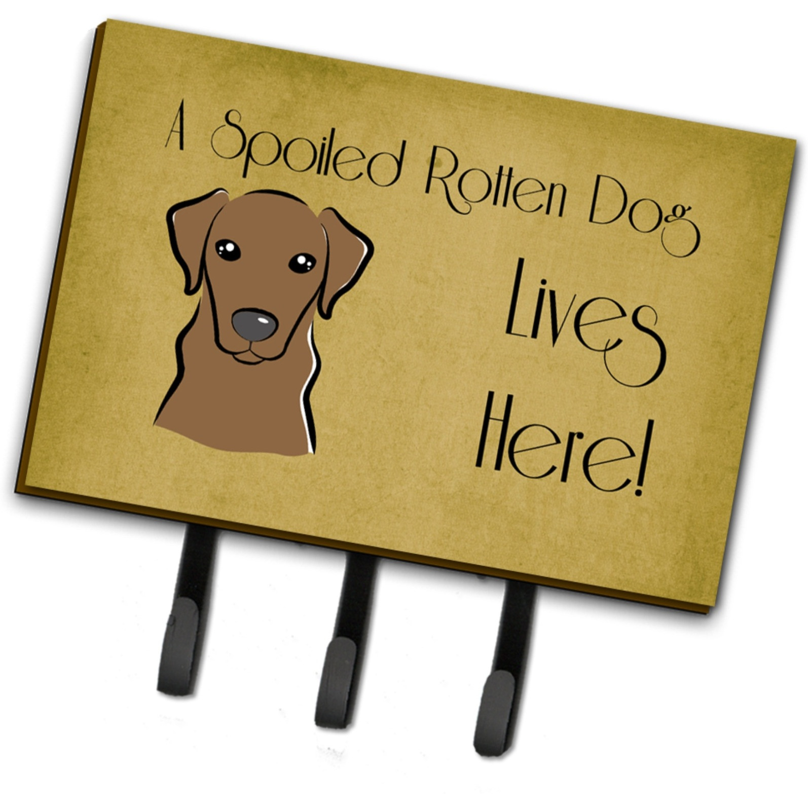 &quotCaroline's Treasures BB1482TH68 Chocolate Labrador Spoiled Dog Lives Here Leash or Key Holder, Large, Multicolor"