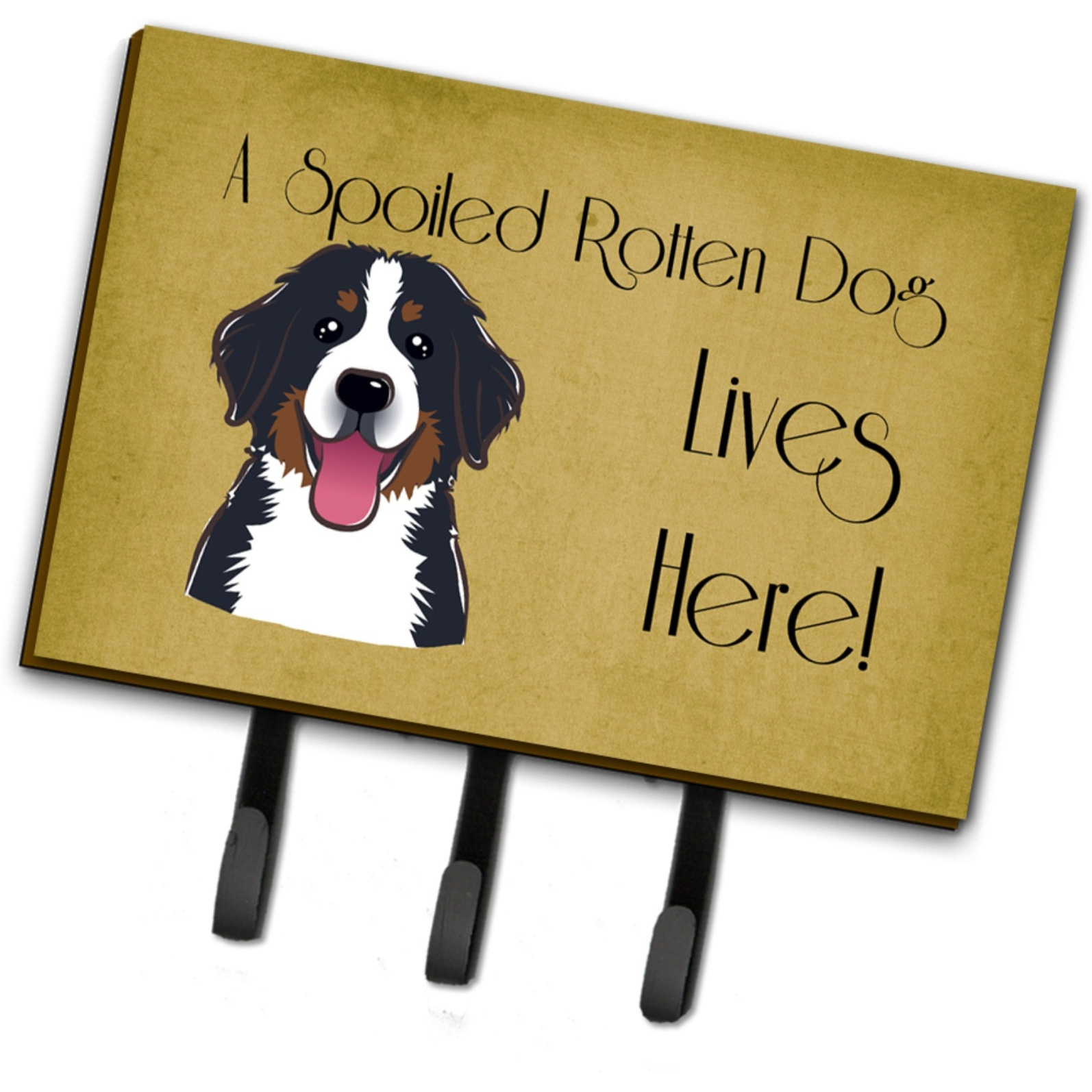 &quotCaroline's Treasures BB1485TH68 Bernese Mountain Dog Spoiled Dog Lives Here Leash or Key Holder, Large, Multicolor"