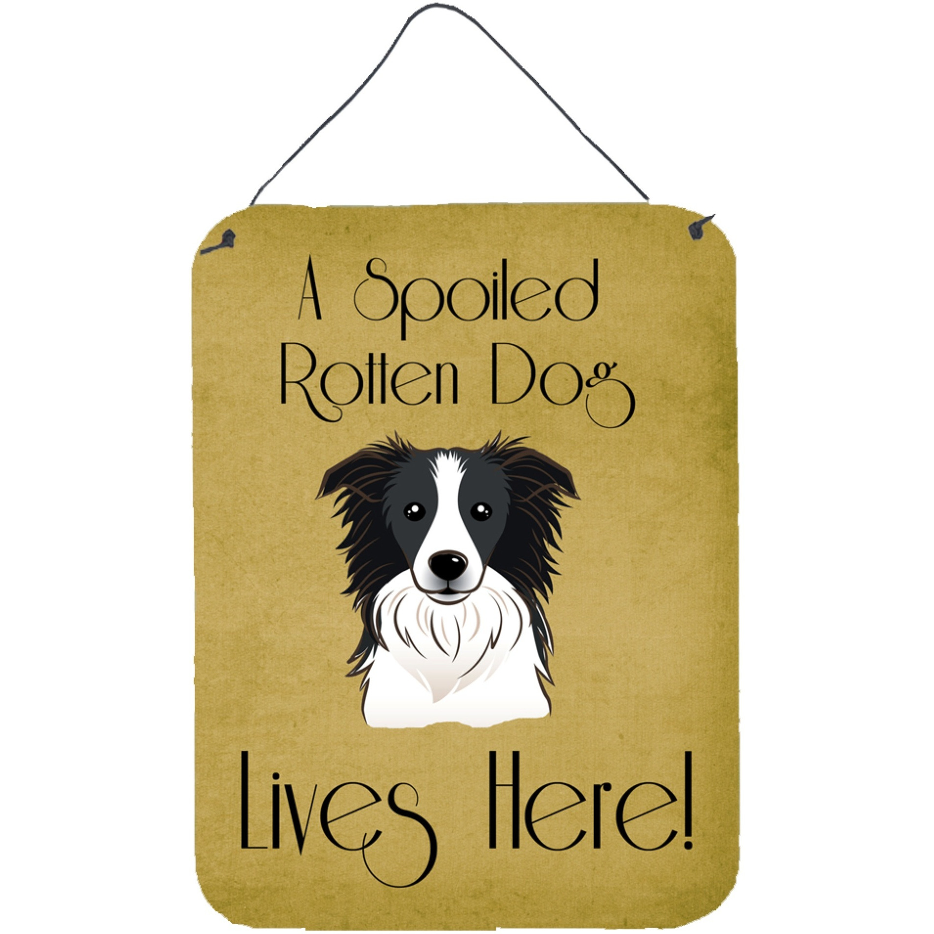 &quotCaroline's Treasures BB1489DS1216 Border Collie Spoiled Dog Lives Here Wall or Door Hanging Prints, 16 x 12"", Multicolor"