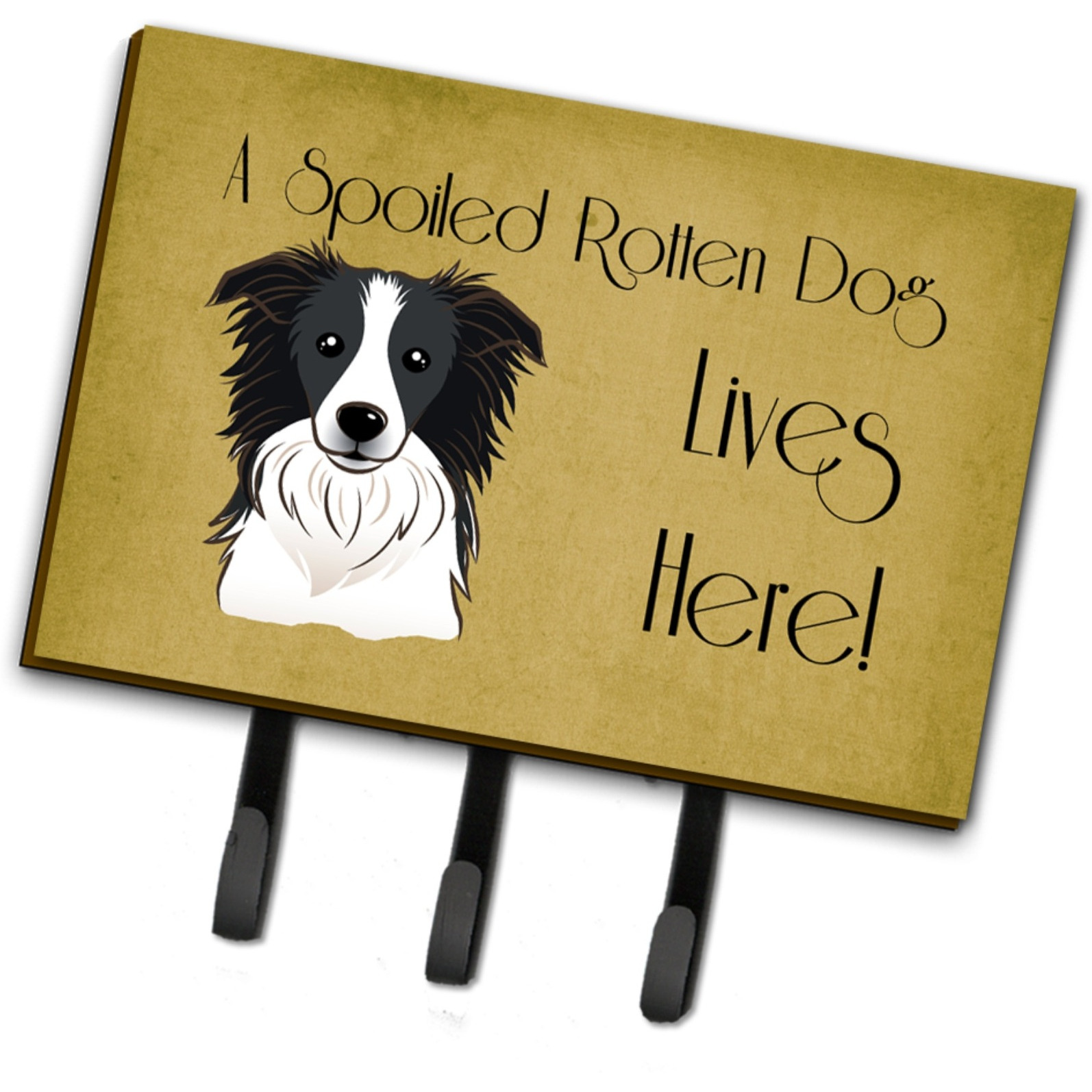 &quotCaroline's Treasures BB1489TH68 border Collie Spoiled Dog Lives here Leash or Key Holder, Large, Multicolor"