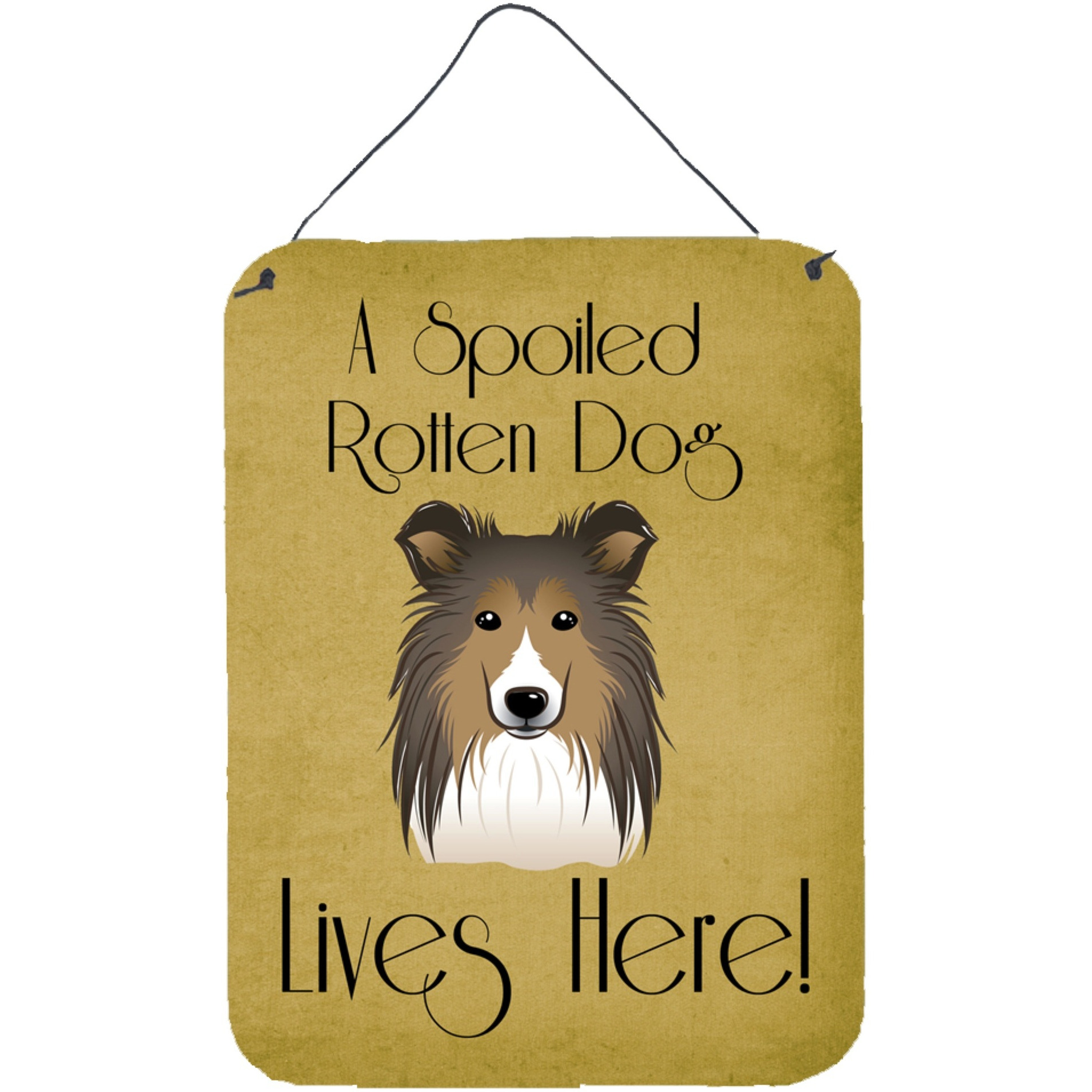 &quotCaroline's Treasures BB1490DS1216 Sheltie Spoiled Dog Lives Here Wall or Door Hanging Prints, 16 x 12"", Multicolor"