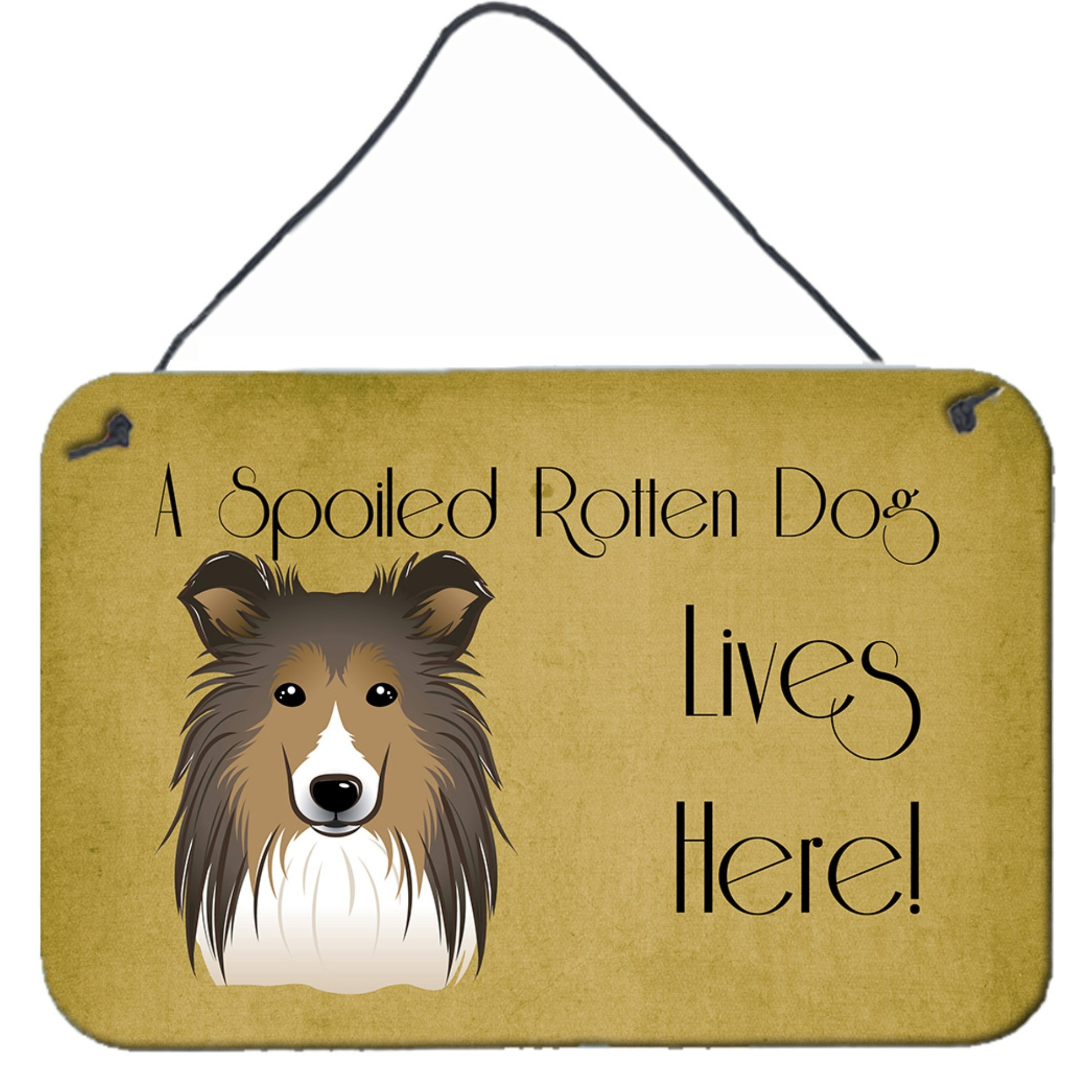 &quotCaroline's Treasures BB1490DS812 Sheltie Spoiled Dog Lives Here Wall or Door Hanging Prints, 8 x 12"", Multicolor"