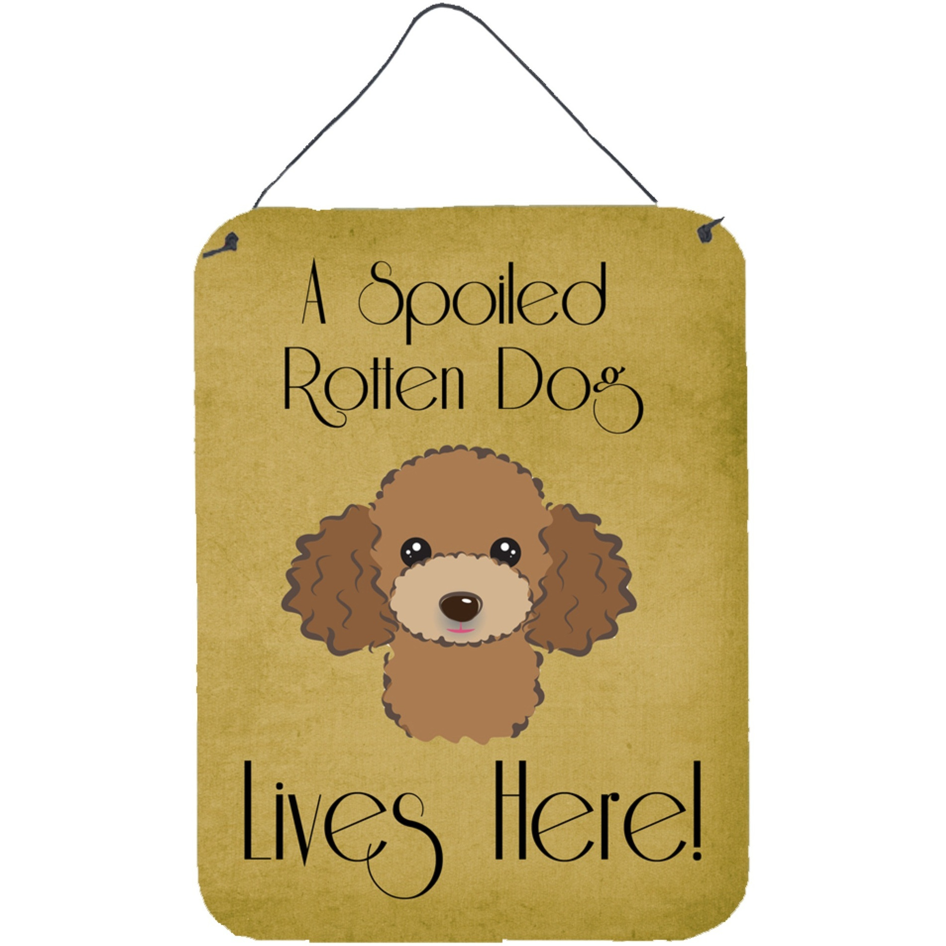 &quotCaroline's Treasures BB1504DS1216 Chocolate Brown Poodle Spoiled Dog Lives Here Wall or Door Hanging Prints, 16 x 12"", Multicolor"