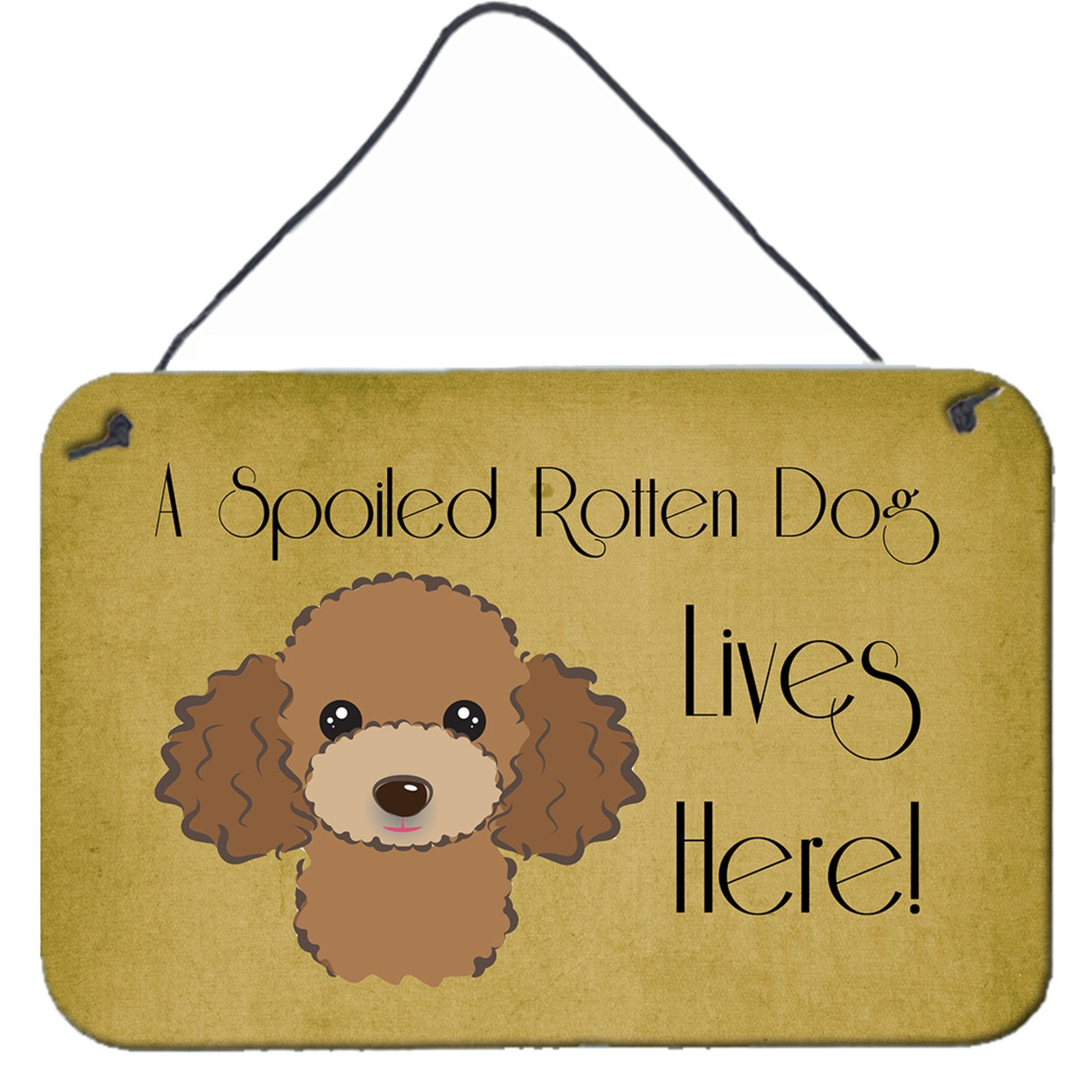 &quotCaroline's Treasures BB1504DS812 Chocolate Brown Poodle Spoiled Dog Lives Here Wall or Door Hanging Prints, 8 x 12"", Multicolor"