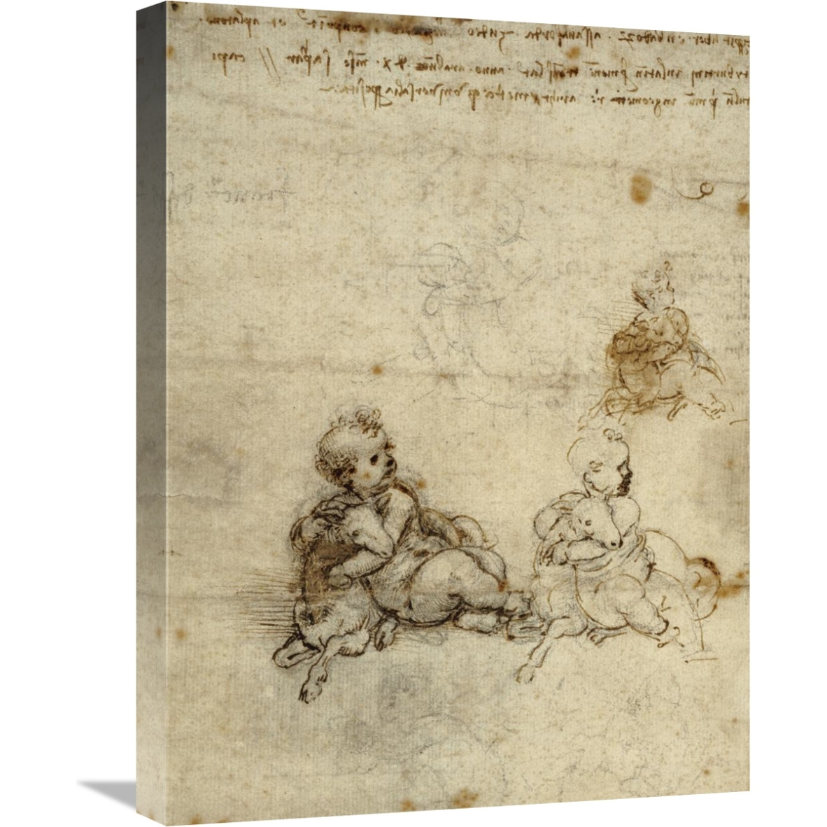 Studies for the Christ Child with a Lamb (recto)-Canvas Art-18&quotx24"